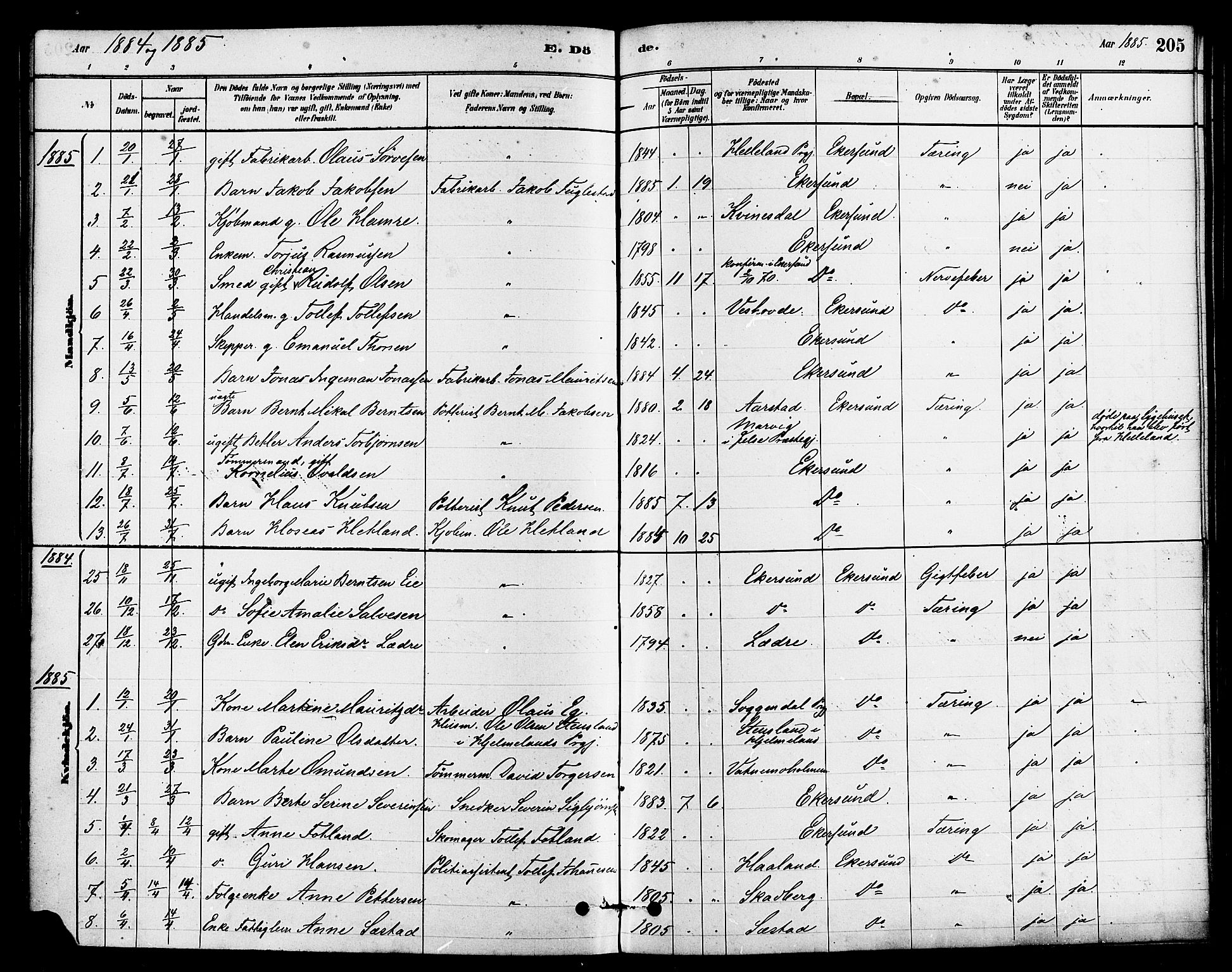 Eigersund sokneprestkontor, SAST/A-101807/S08/L0015: Parish register (official) no. A 15, 1879-1892, p. 205