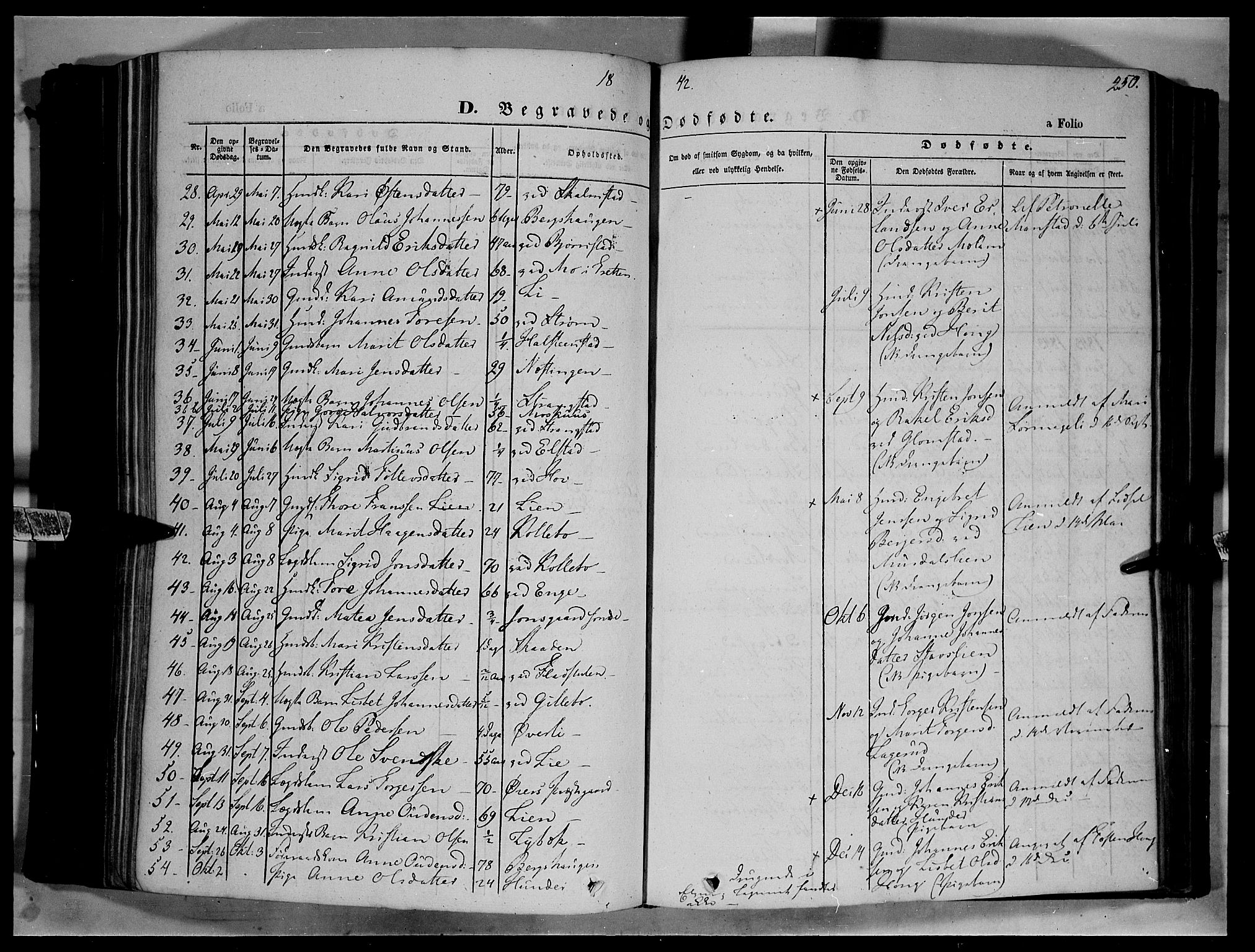 Øyer prestekontor, SAH/PREST-084/H/Ha/Haa/L0005: Parish register (official) no. 5, 1842-1857, p. 250