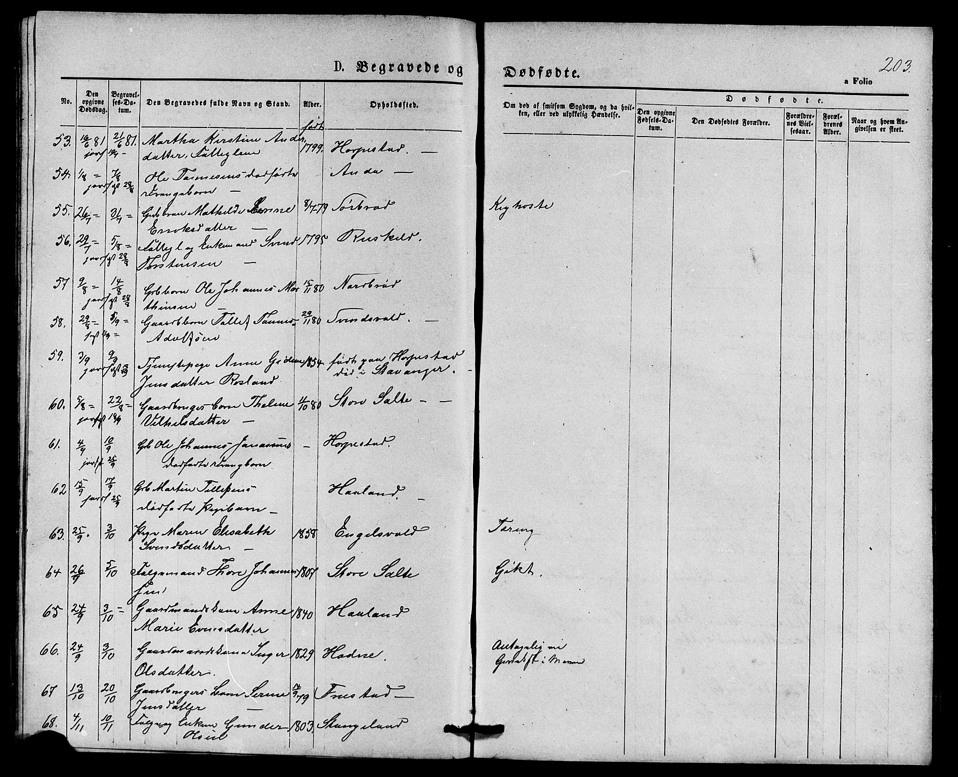 Klepp sokneprestkontor, AV/SAST-A-101803/001/3/30BB/L0003: Parish register (copy) no. B 3, 1876-1888, p. 203