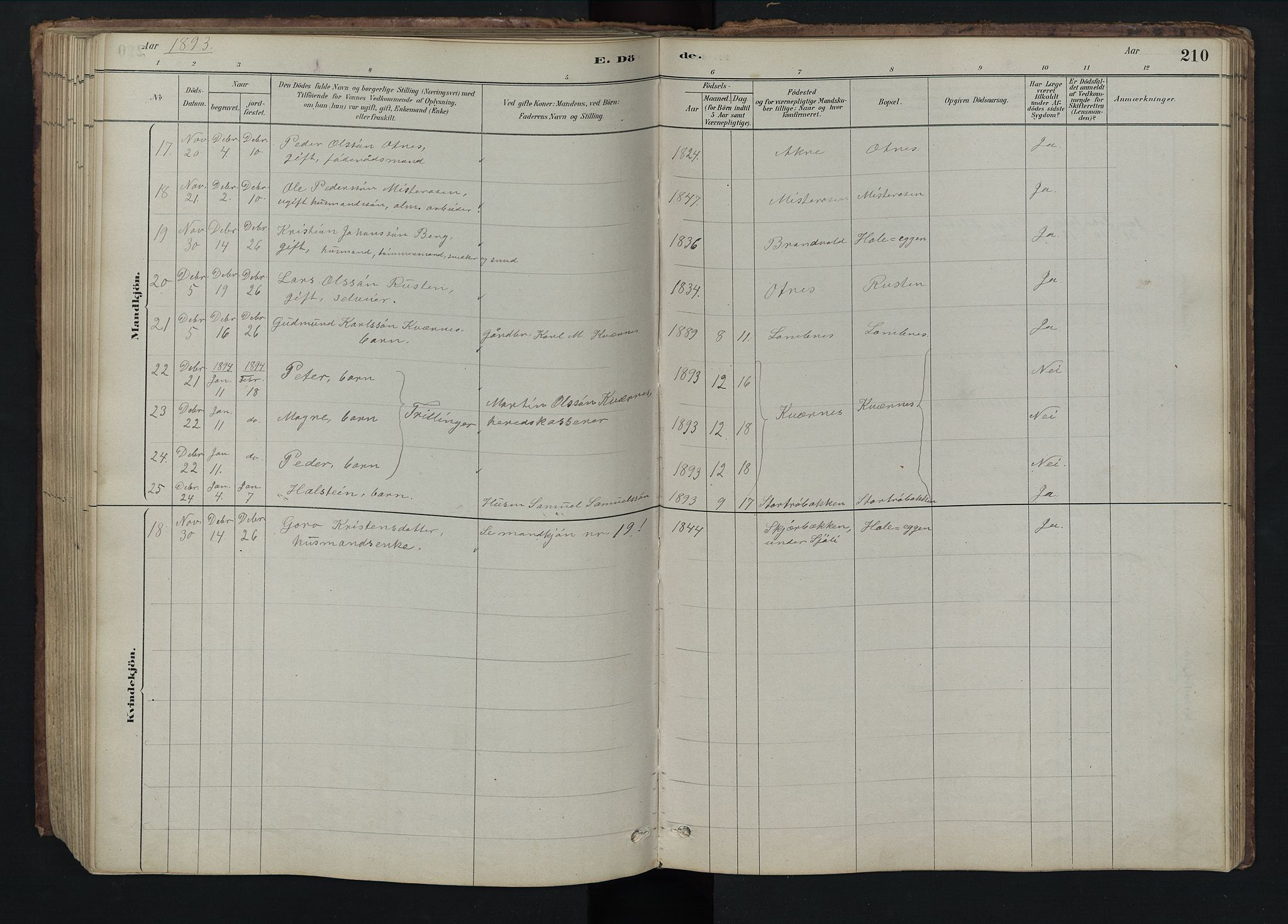 Rendalen prestekontor, SAH/PREST-054/H/Ha/Hab/L0009: Parish register (copy) no. 9, 1879-1902, p. 210