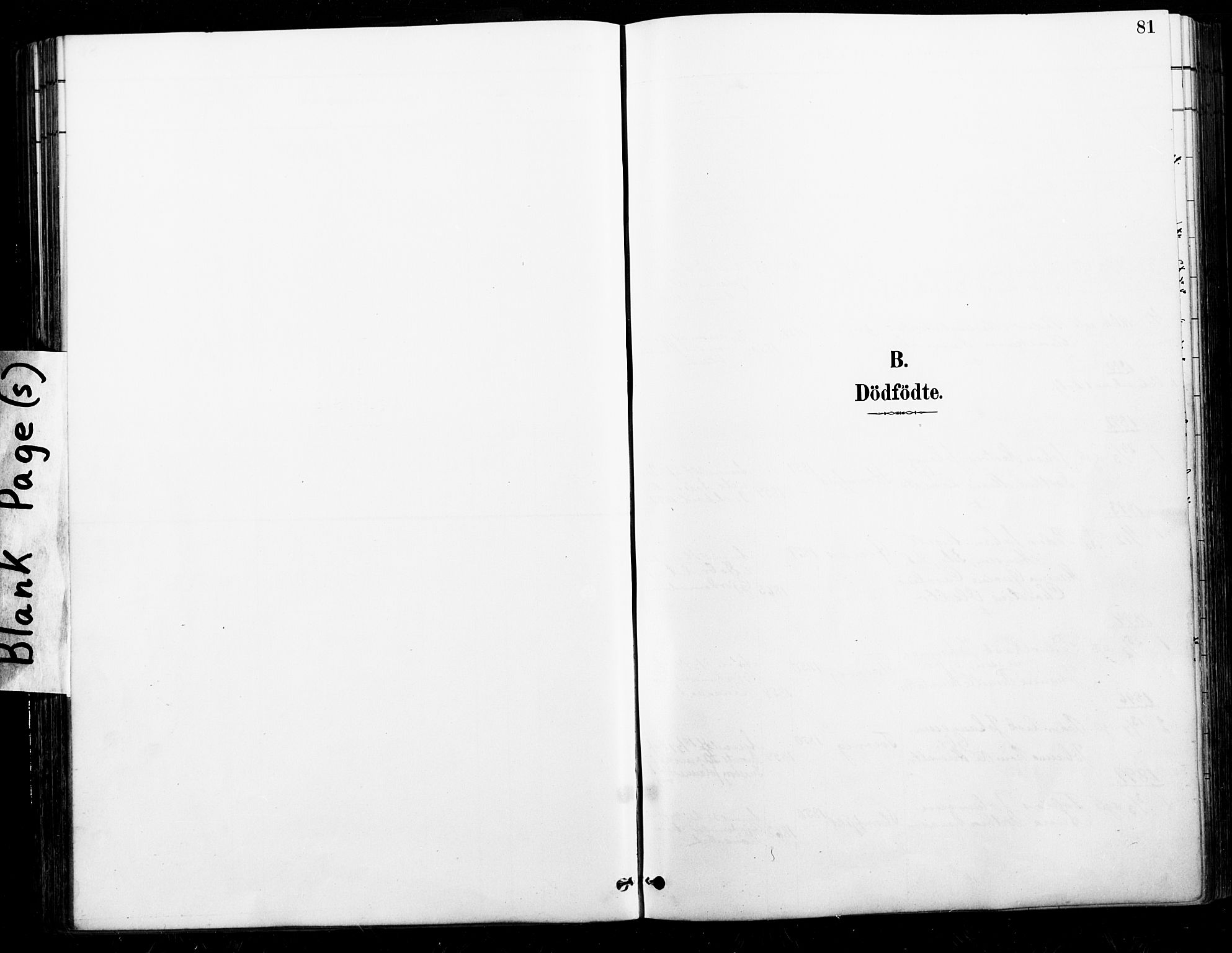 Ministerialprotokoller, klokkerbøker og fødselsregistre - Nordland, SAT/A-1459/846/L0646: Parish register (official) no. 846A04, 1887-1901, p. 81