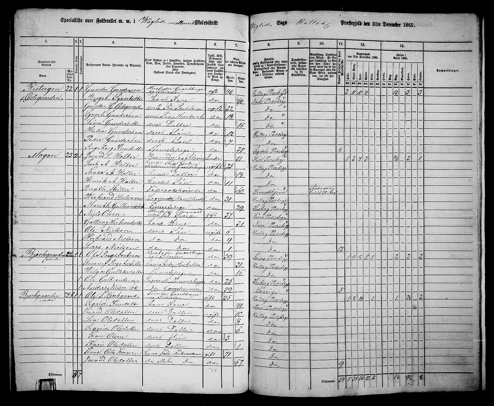 RA, 1865 census for Rollag, 1865, p. 56