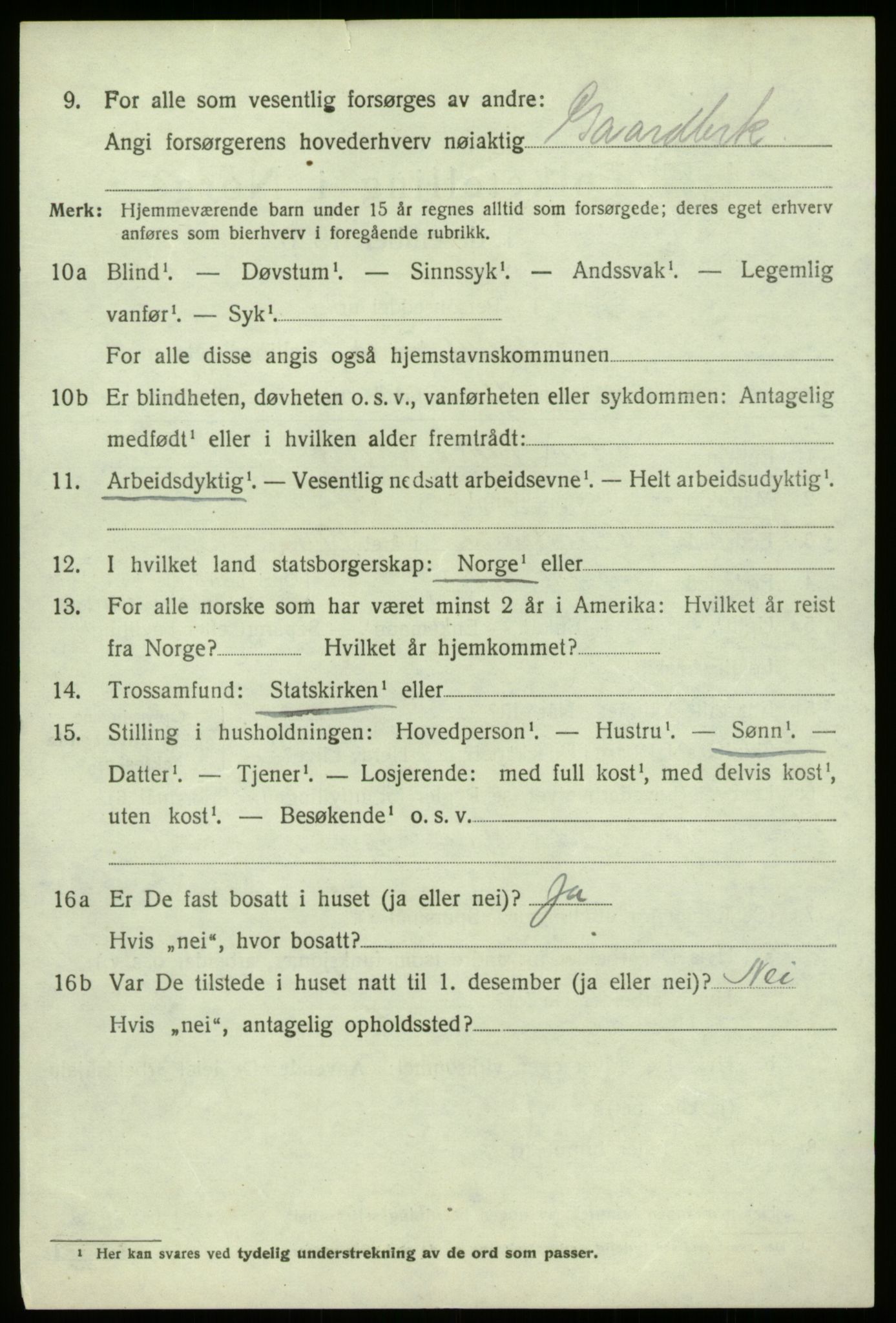 SAB, 1920 census for Lærdal, 1920, p. 1239