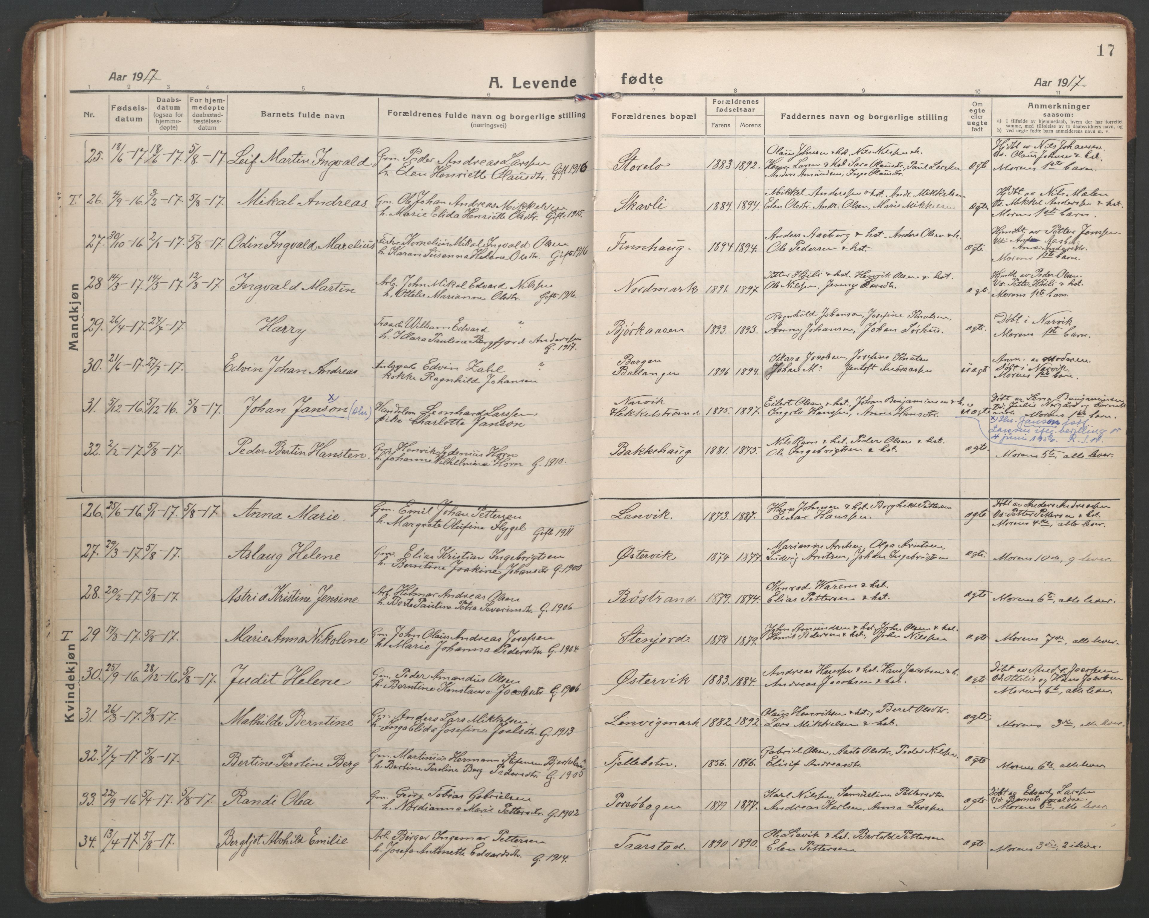 Ministerialprotokoller, klokkerbøker og fødselsregistre - Nordland, AV/SAT-A-1459/863/L0904: Parish register (official) no. 863A16, 1915-1937, p. 17