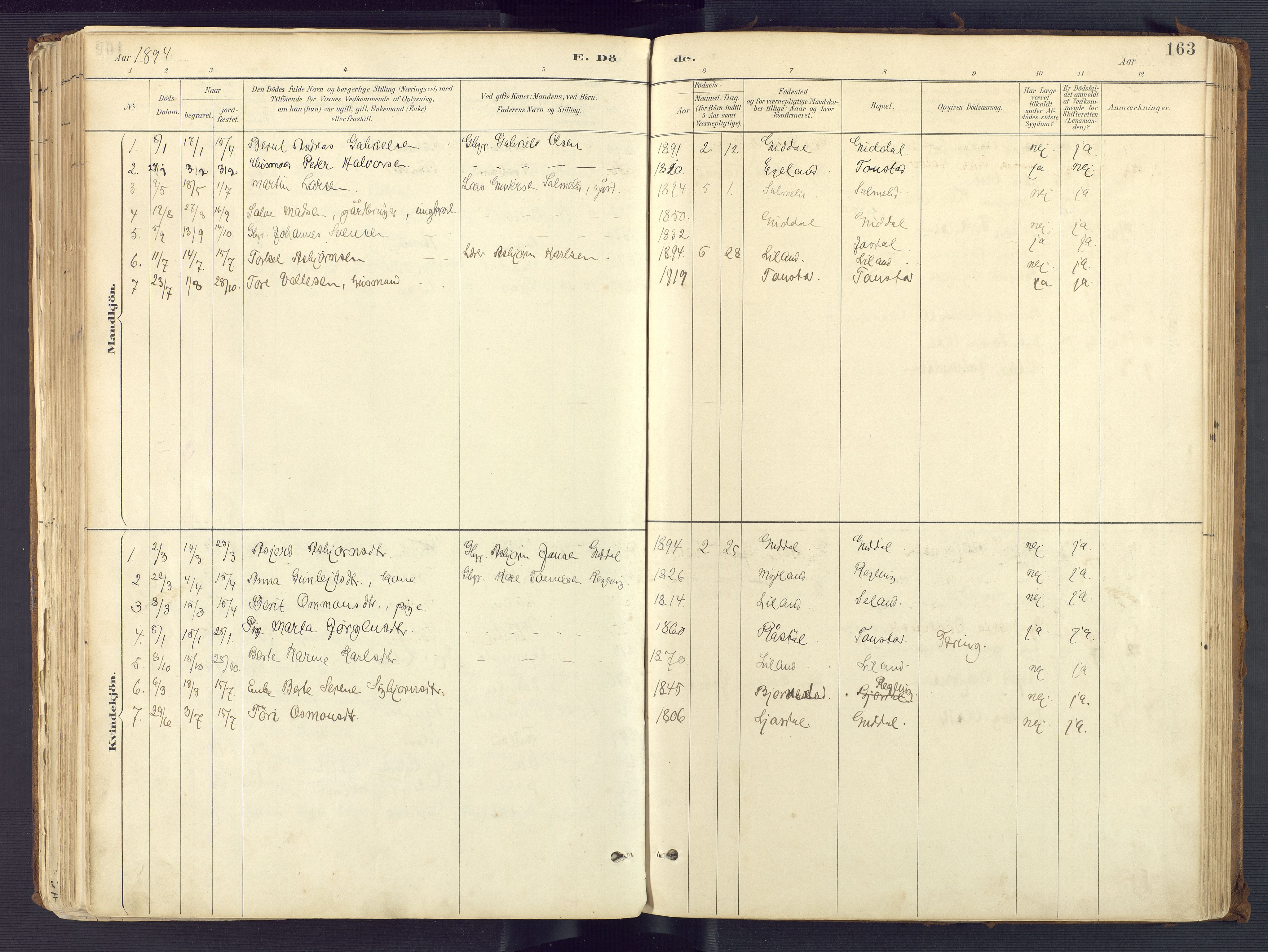 Sirdal sokneprestkontor, SAK/1111-0036/F/Fa/Fab/L0004: Parish register (official) no. A 4, 1887-1919, p. 163