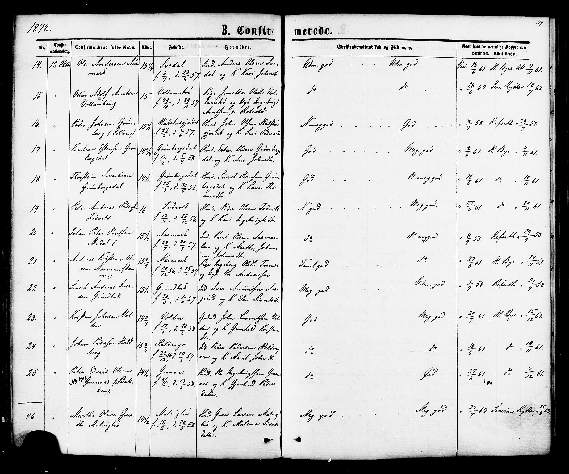 Ministerialprotokoller, klokkerbøker og fødselsregistre - Sør-Trøndelag, SAT/A-1456/616/L0409: Parish register (official) no. 616A06, 1865-1877, p. 117