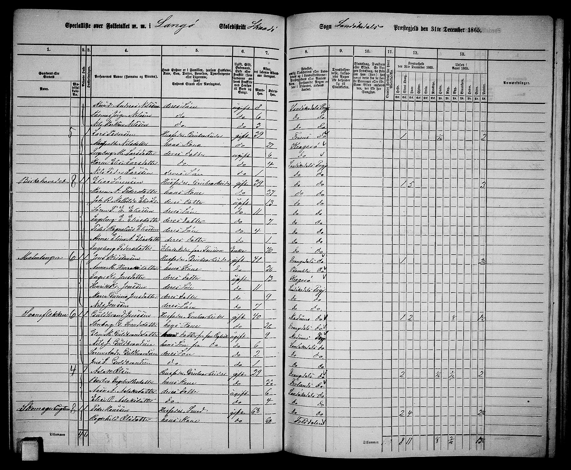 RA, 1865 census for Kragerø/Sannidal og Skåtøy, 1865, p. 174