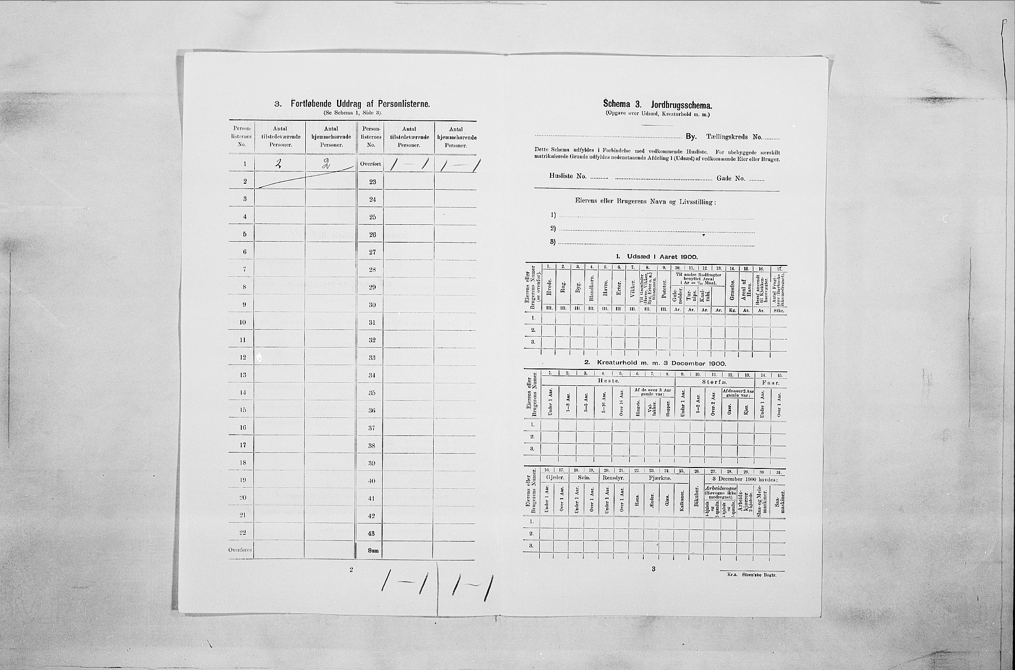 SAO, 1900 census for Fredrikstad, 1900