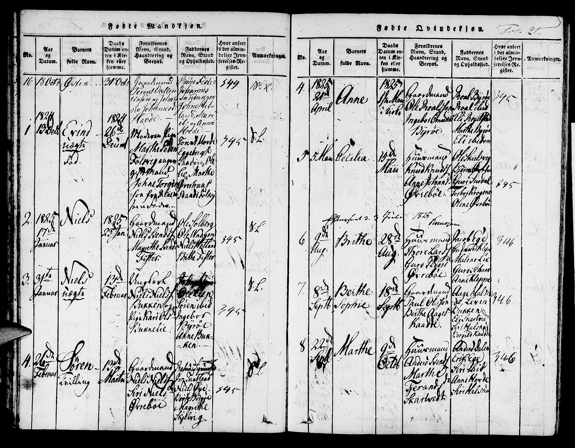 Hjelmeland sokneprestkontor, AV/SAST-A-101843/01/IV/L0004: Parish register (official) no. A 4, 1816-1834, p. 21