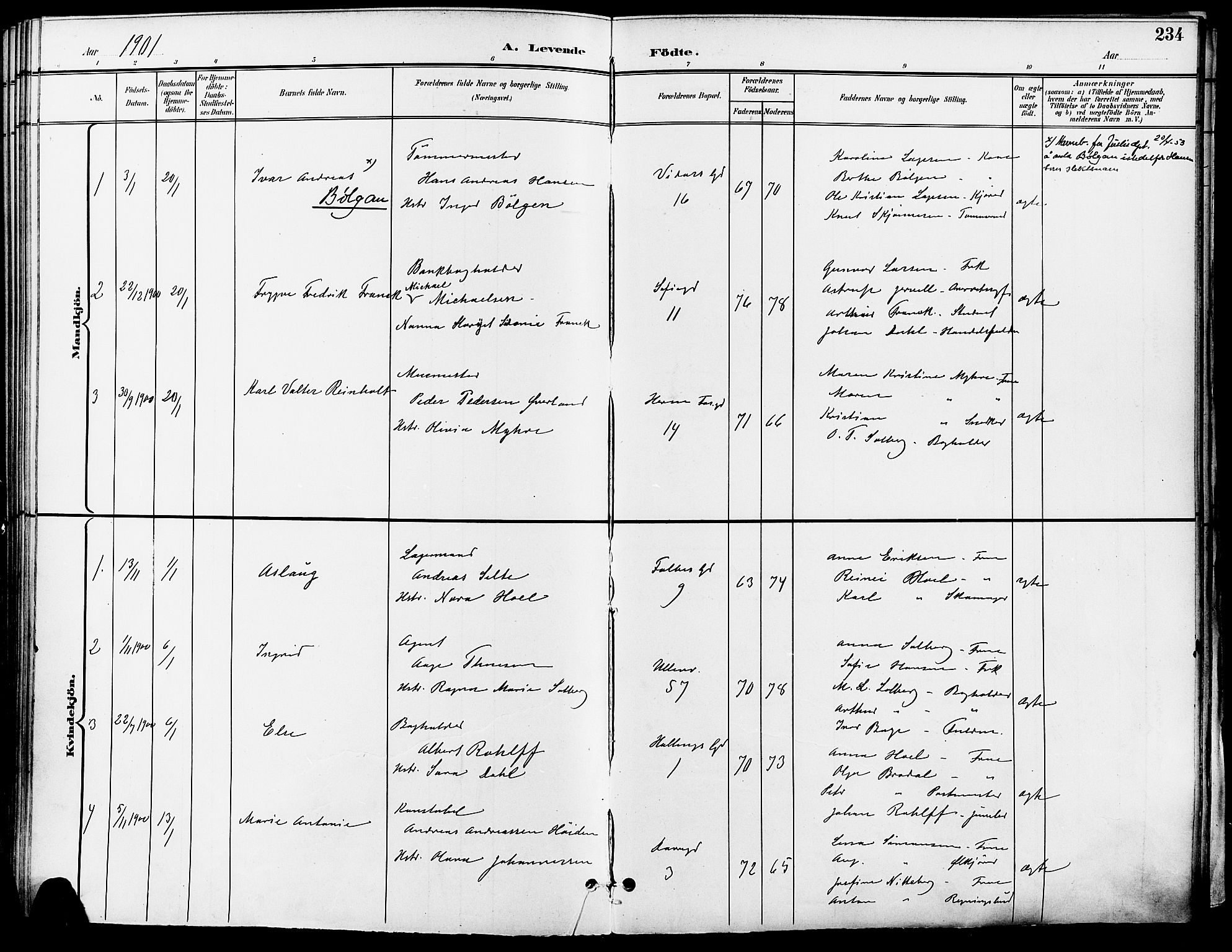 Gamle Aker prestekontor Kirkebøker, SAO/A-10617a/F/L0011: Parish register (official) no. 11, 1896-1901, p. 234
