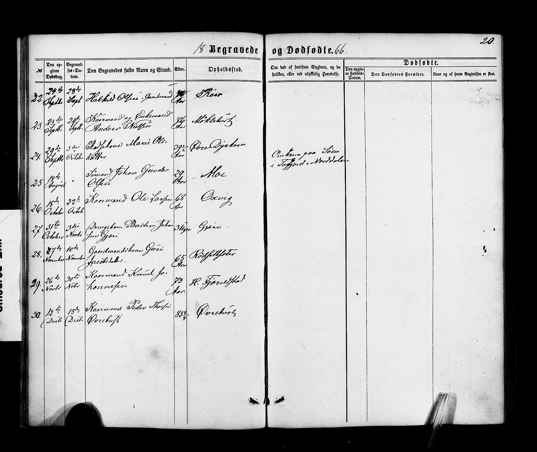 Ministerialprotokoller, klokkerbøker og fødselsregistre - Møre og Romsdal, AV/SAT-A-1454/520/L0282: Parish register (official) no. 520A11, 1862-1881, p. 20