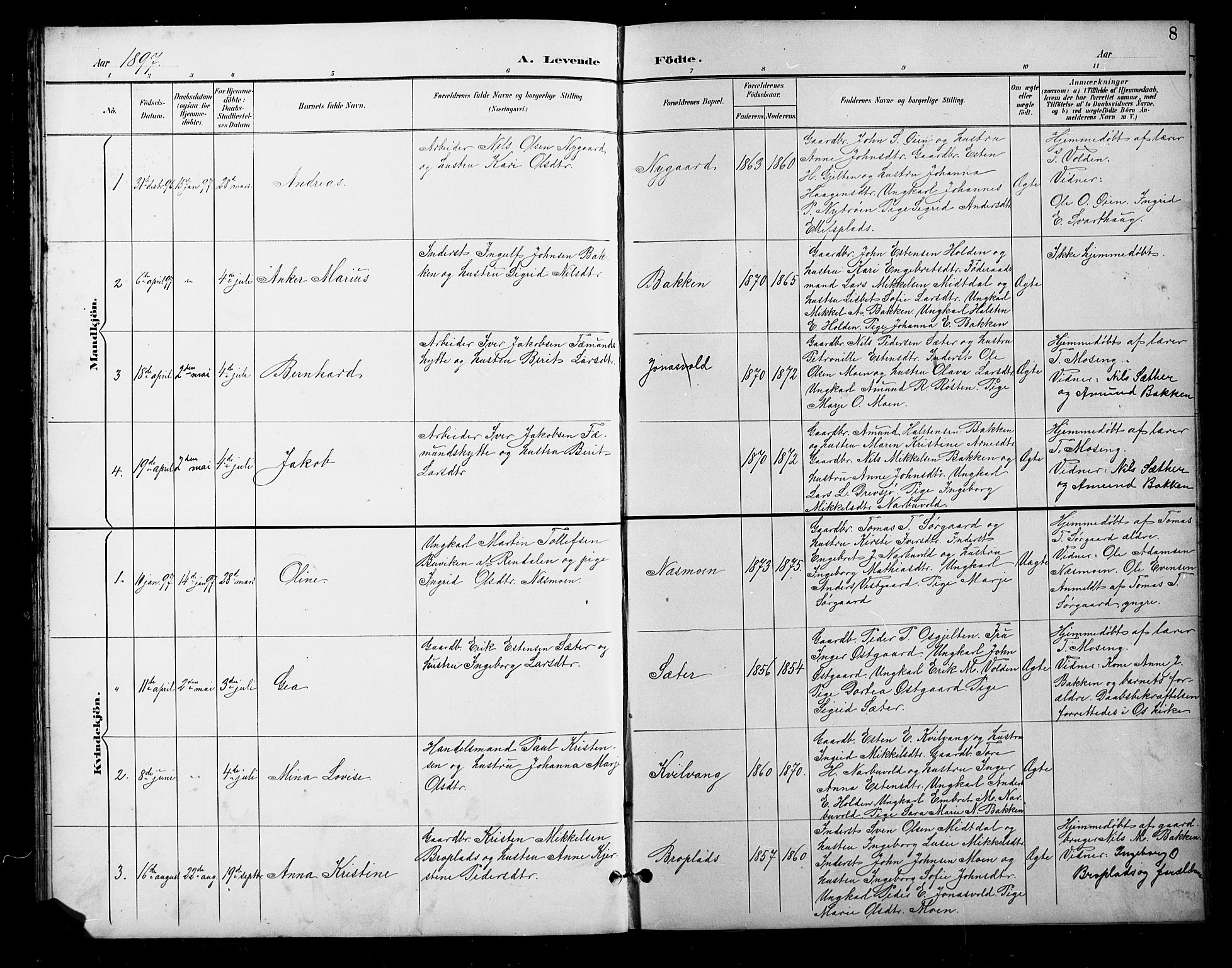 Tolga prestekontor, AV/SAH-PREST-062/L/L0011: Parish register (copy) no. 11, 1894-1925, p. 8