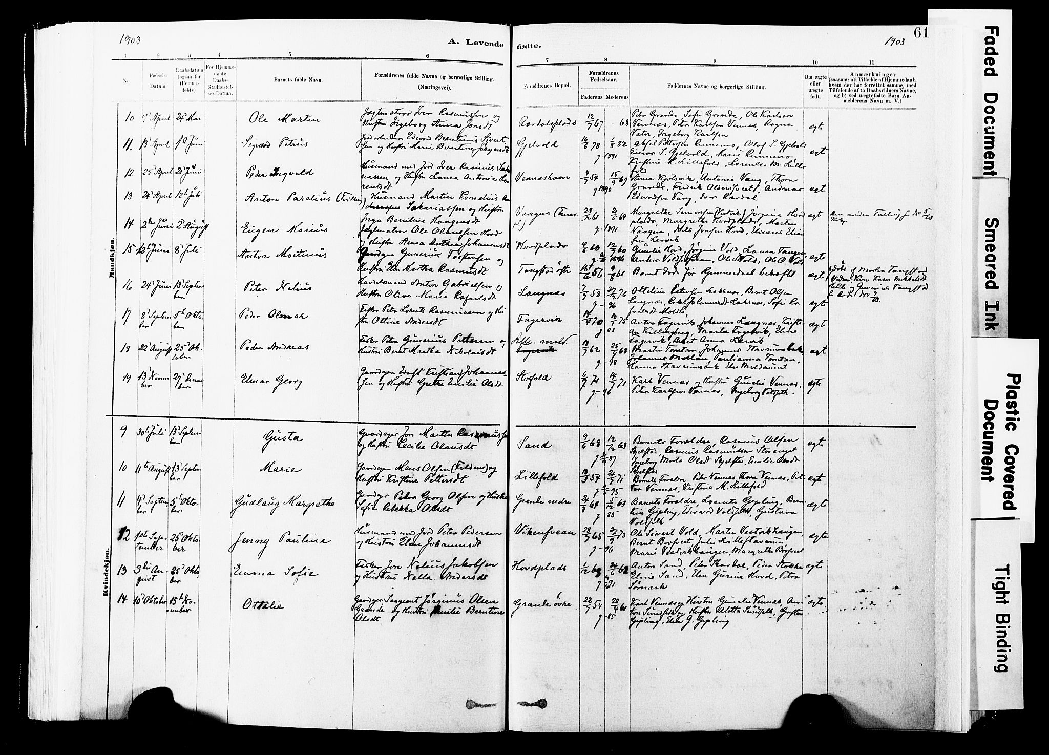 Ministerialprotokoller, klokkerbøker og fødselsregistre - Nord-Trøndelag, AV/SAT-A-1458/744/L0420: Parish register (official) no. 744A04, 1882-1904, p. 61