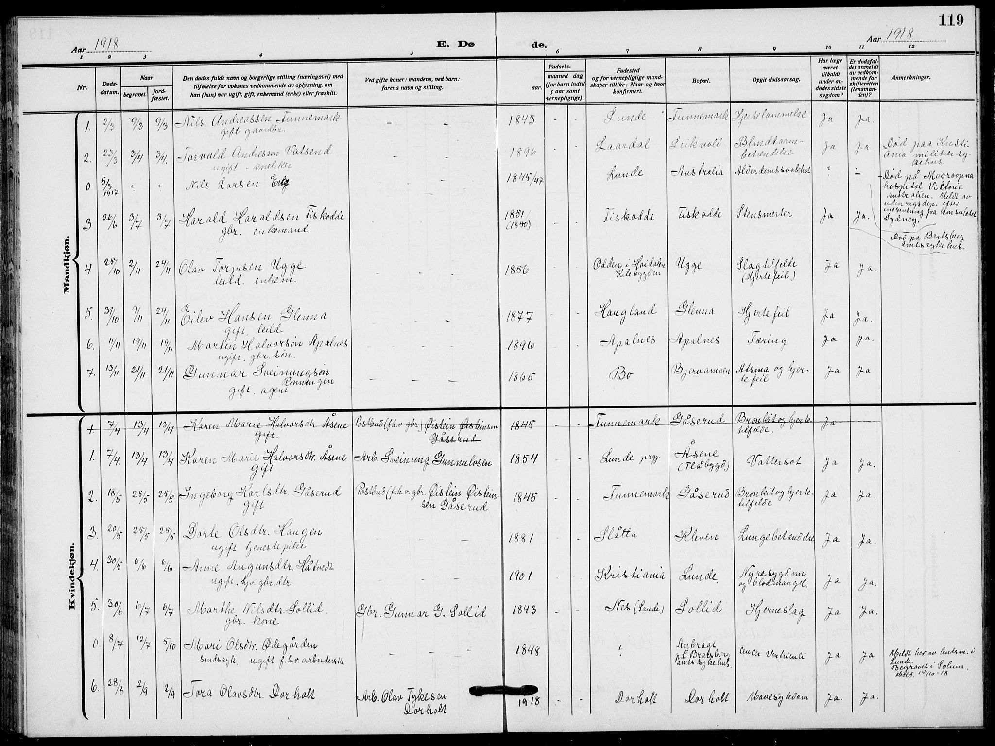 Lunde kirkebøker, SAKO/A-282/F/Fa/L0005: Parish register (official) no. I 5, 1914-1922, p. 119