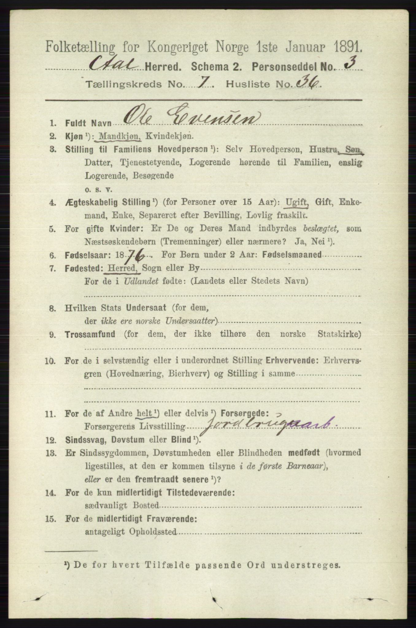 RA, 1891 census for 0619 Ål, 1891, p. 1988