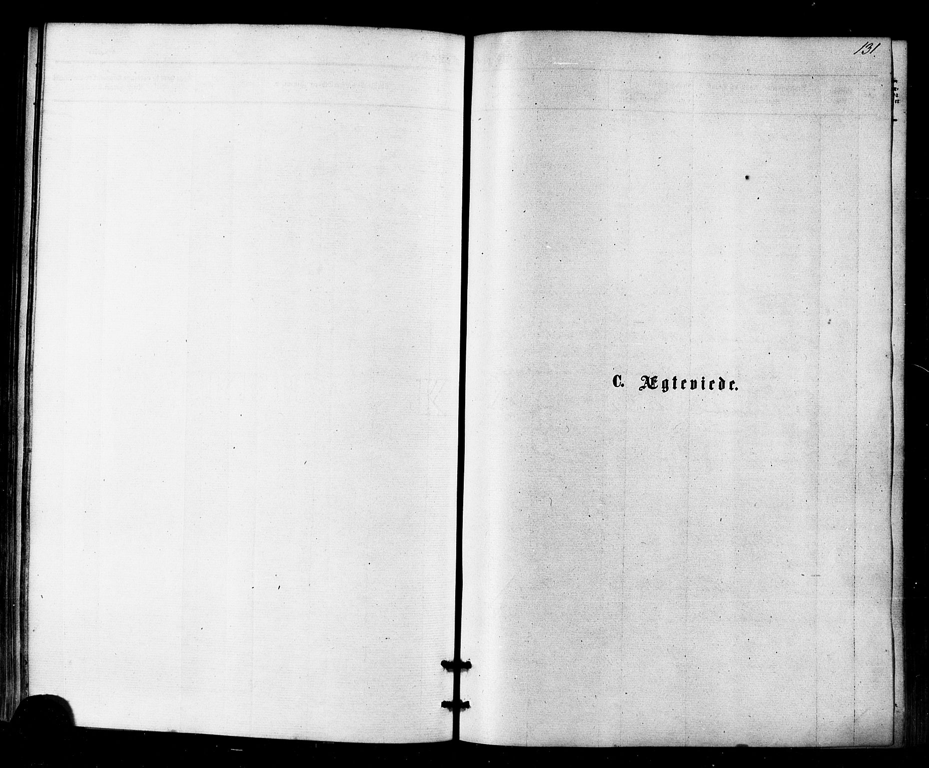Kistrand/Porsanger sokneprestembete, AV/SATØ-S-1351/H/Ha/L0006.kirke: Parish register (official) no. 6, 1875-1880, p. 131