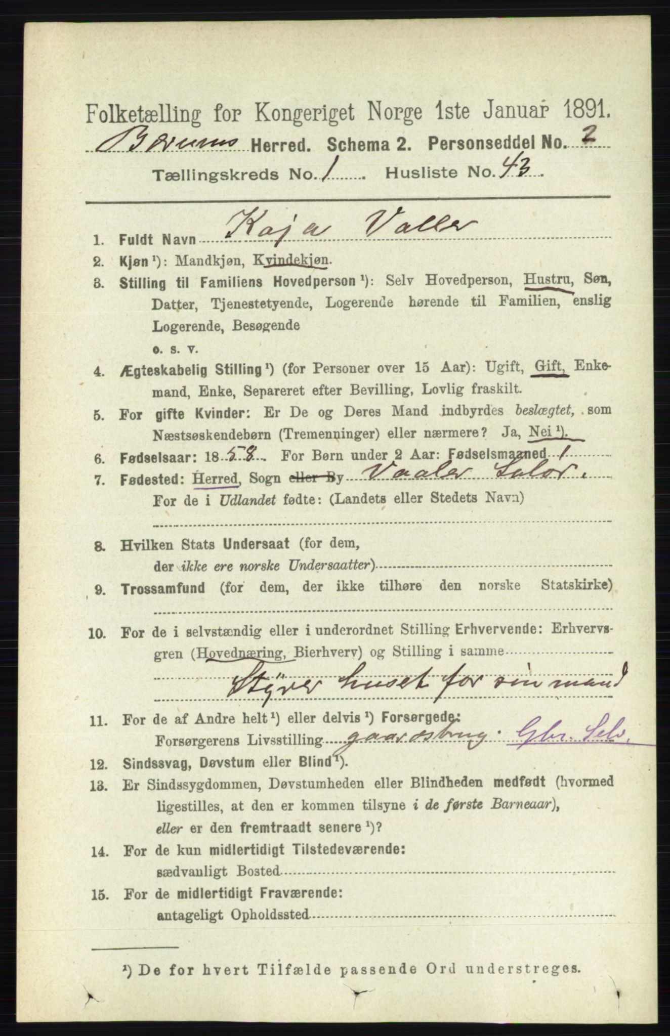 RA, 1891 census for 0219 Bærum, 1891, p. 533