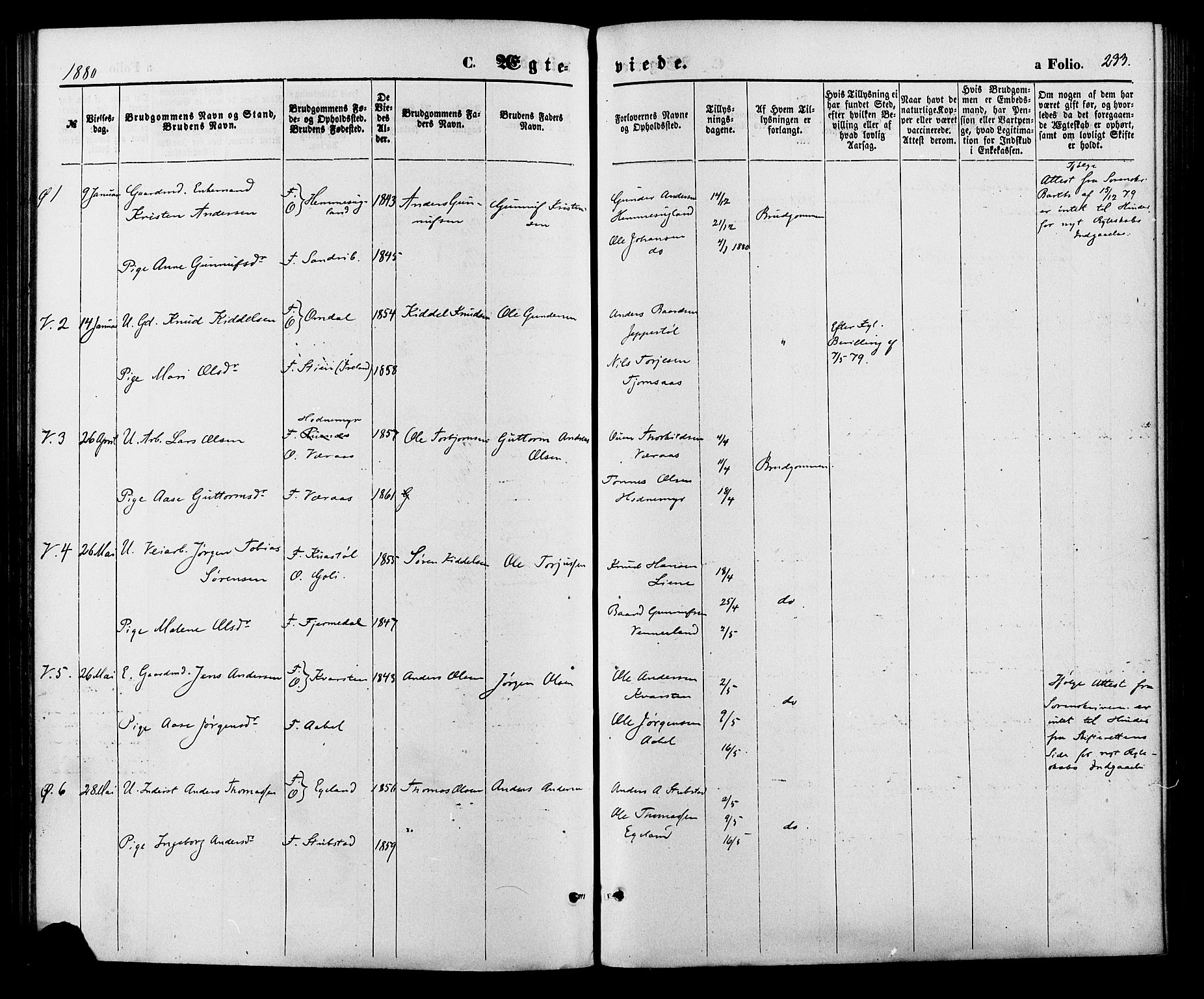 Vennesla sokneprestkontor, SAK/1111-0045/Fa/Fac/L0008: Parish register (official) no. A 8, 1874-1883, p. 233