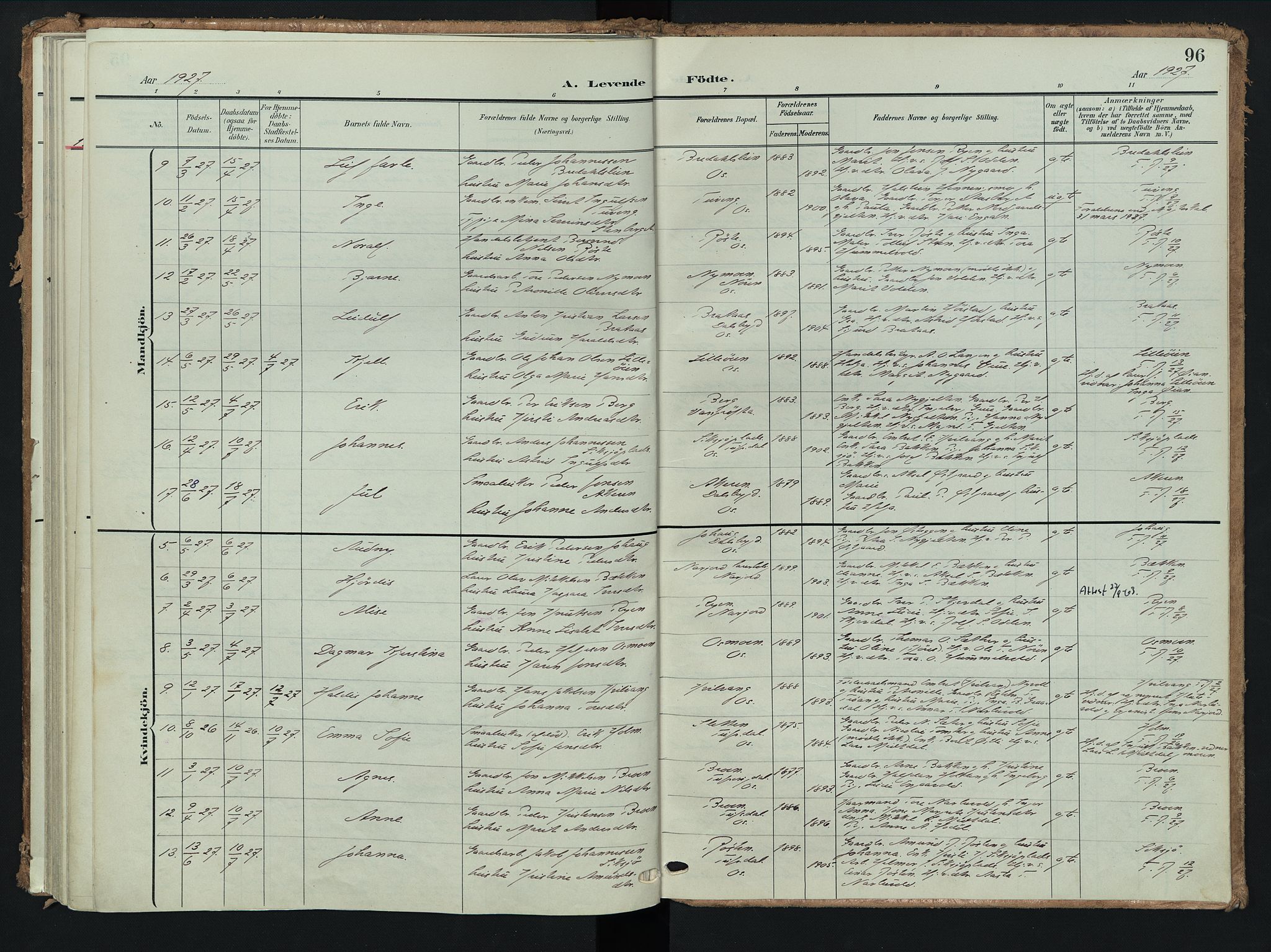 Tolga prestekontor, AV/SAH-PREST-062/K/L0009: Parish register (official) no. 9, 1903-1928, p. 96