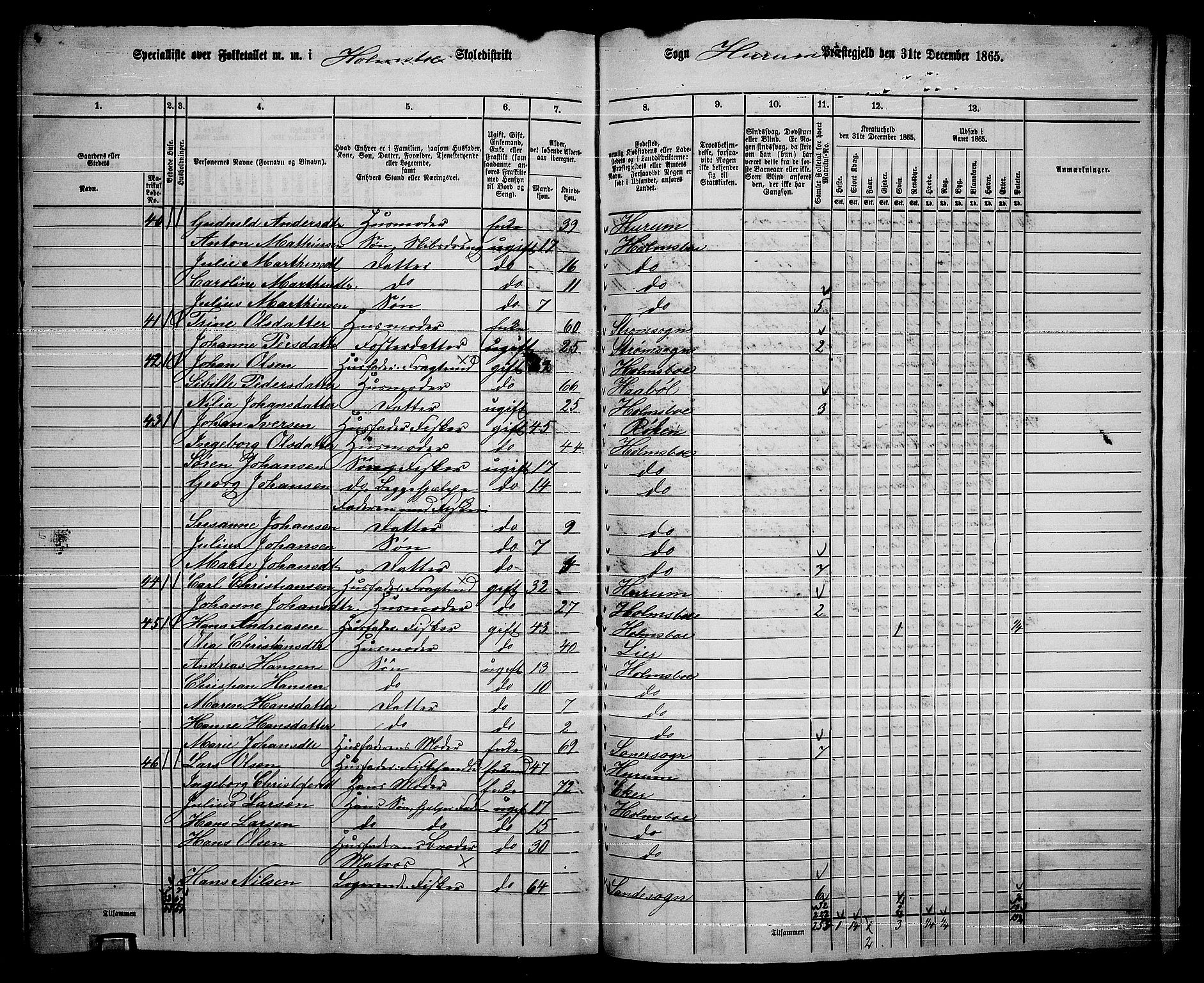 RA, 1865 census for Hurum, 1865, p. 114