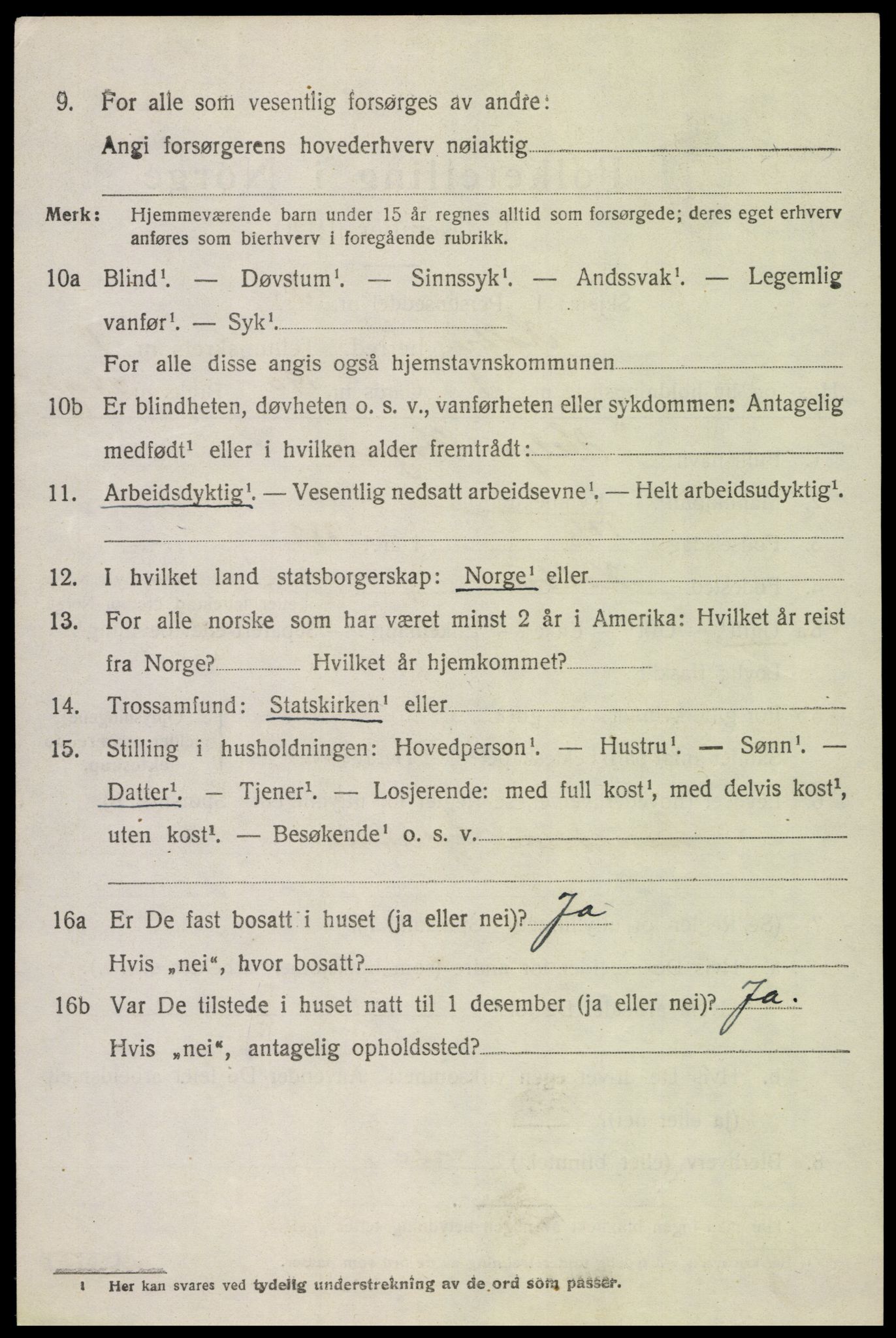 SAH, 1920 census for Kolbu, 1920, p. 1037