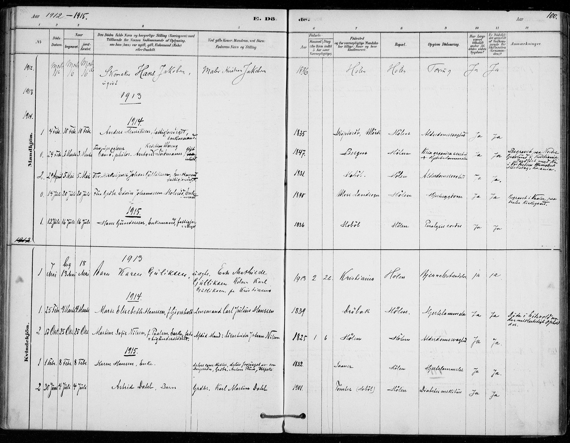 Vestby prestekontor Kirkebøker, SAO/A-10893/F/Fe/L0001: Parish register (official) no. V 1, 1878-1931, p. 100