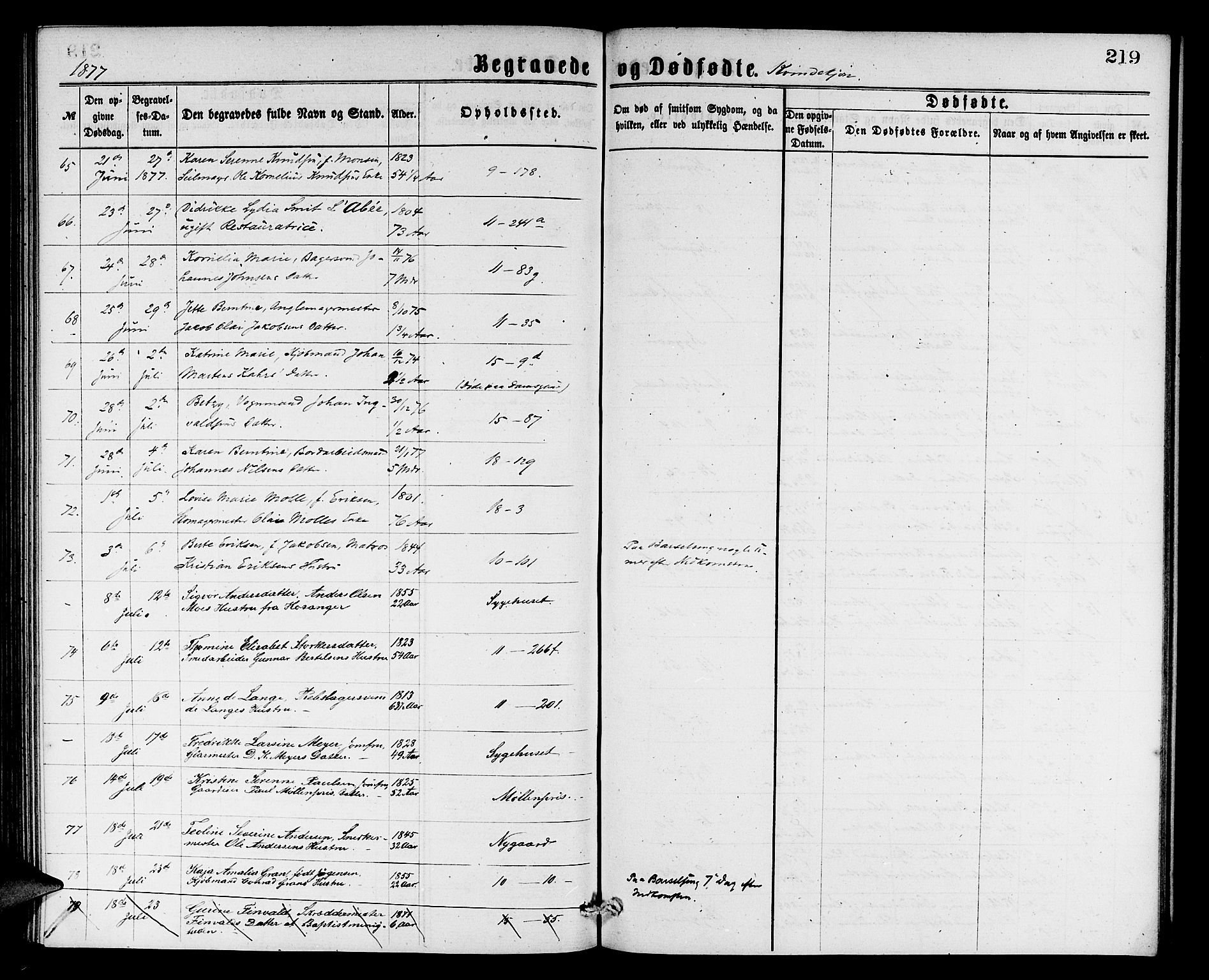 Domkirken sokneprestembete, AV/SAB-A-74801/H/Hab/L0040: Parish register (copy) no. E 4, 1868-1877, p. 219