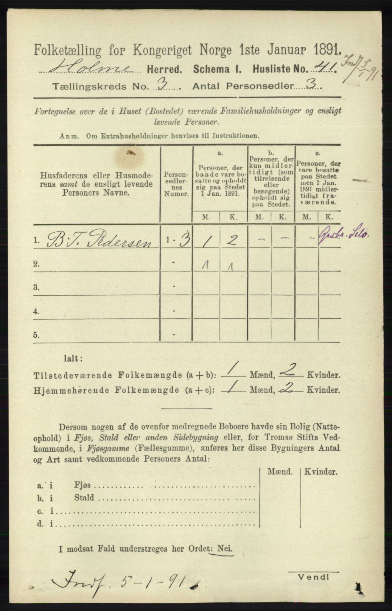RA, 1891 census for 1020 Holum, 1891, p. 819