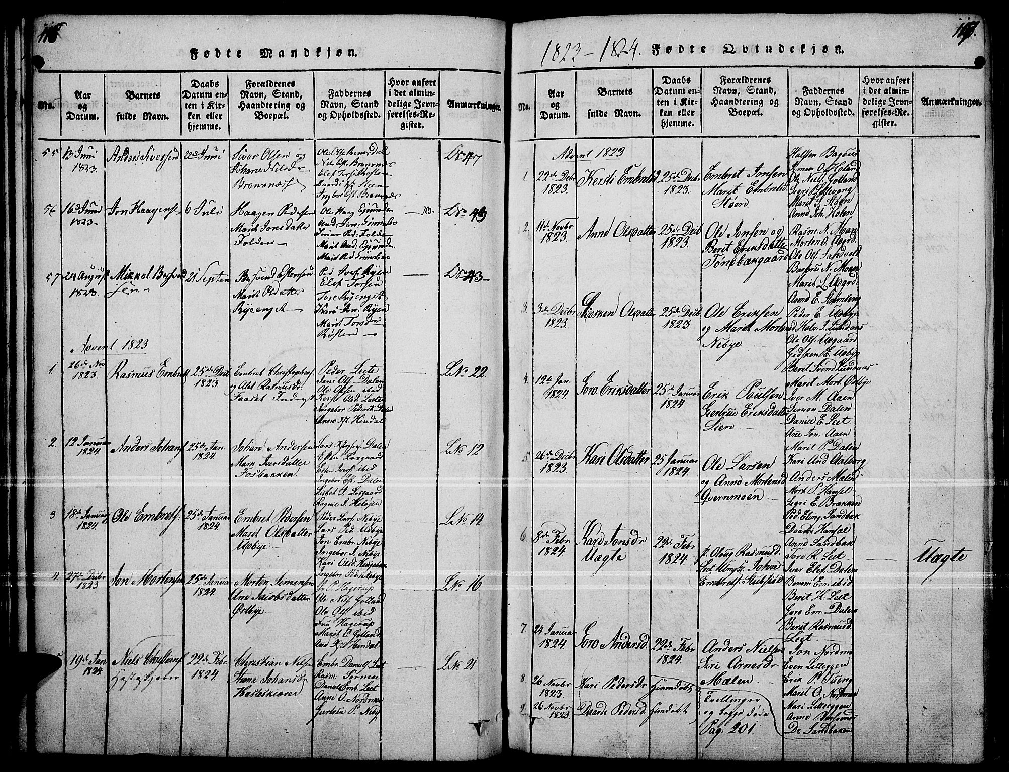 Tynset prestekontor, SAH/PREST-058/H/Ha/Haa/L0018: Parish register (official) no. 18, 1815-1829, p. 116-117