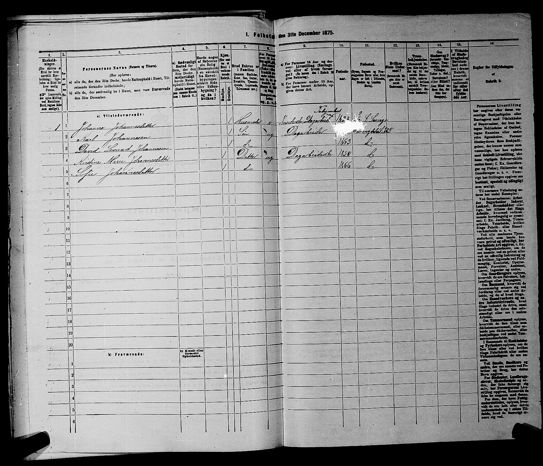 RA, 1875 census for 0117P Idd, 1875, p. 917