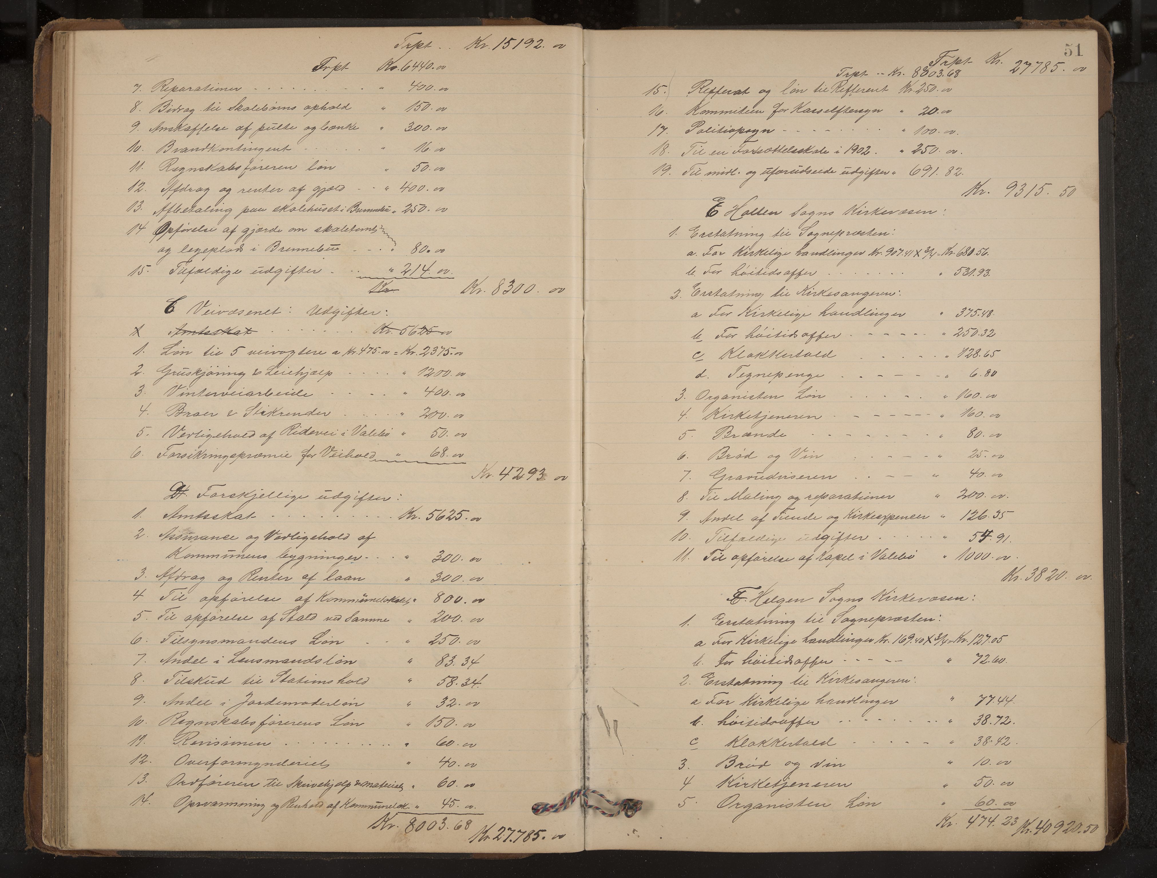 Holla formannskap og sentraladministrasjon, IKAK/0819021-1/A/L0004: Møtebok med register, 1899-1906, p. 51