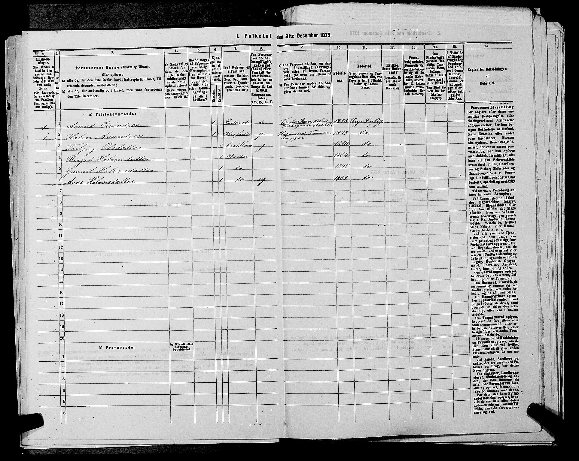 SAKO, 1875 census for 0834P Vinje, 1875, p. 300