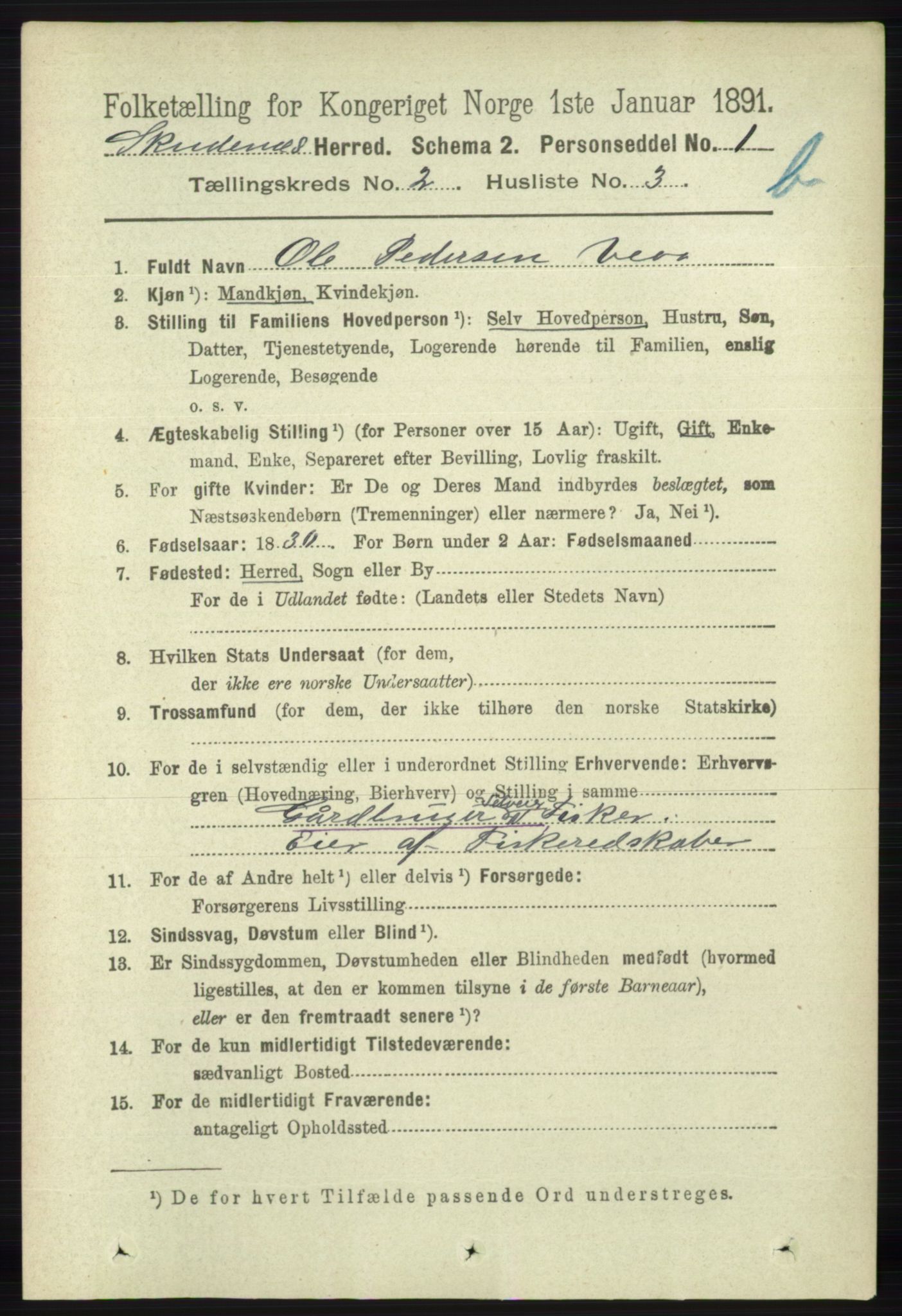 RA, 1891 census for 1150 Skudenes, 1891, p. 3721