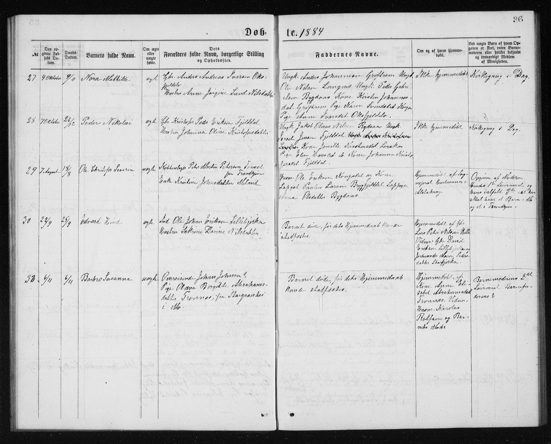 Ministerialprotokoller, klokkerbøker og fødselsregistre - Nordland, AV/SAT-A-1459/826/L0381: Parish register (copy) no. 826C01, 1877-1886, p. 36