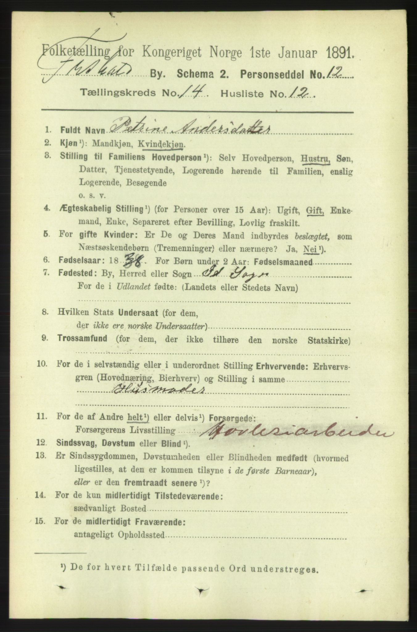 RA, 1891 census for 0101 Fredrikshald, 1891, p. 9202