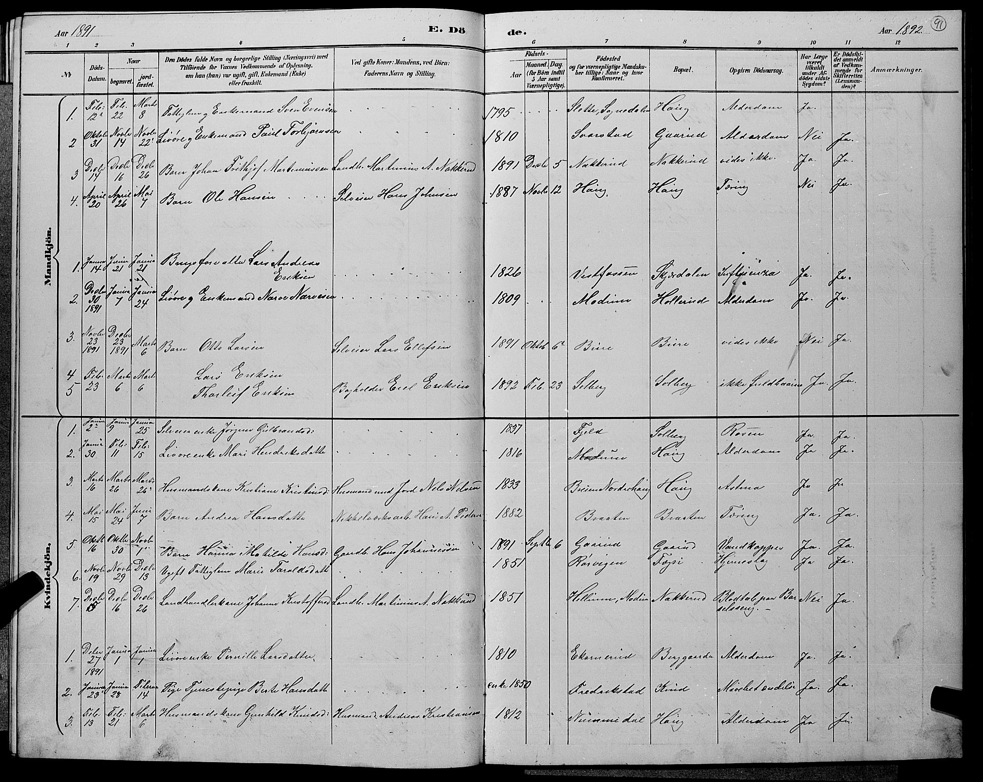 Hole kirkebøker, AV/SAKO-A-228/G/Gb/L0003: Parish register (copy) no. II 3, 1890-1901, p. 91