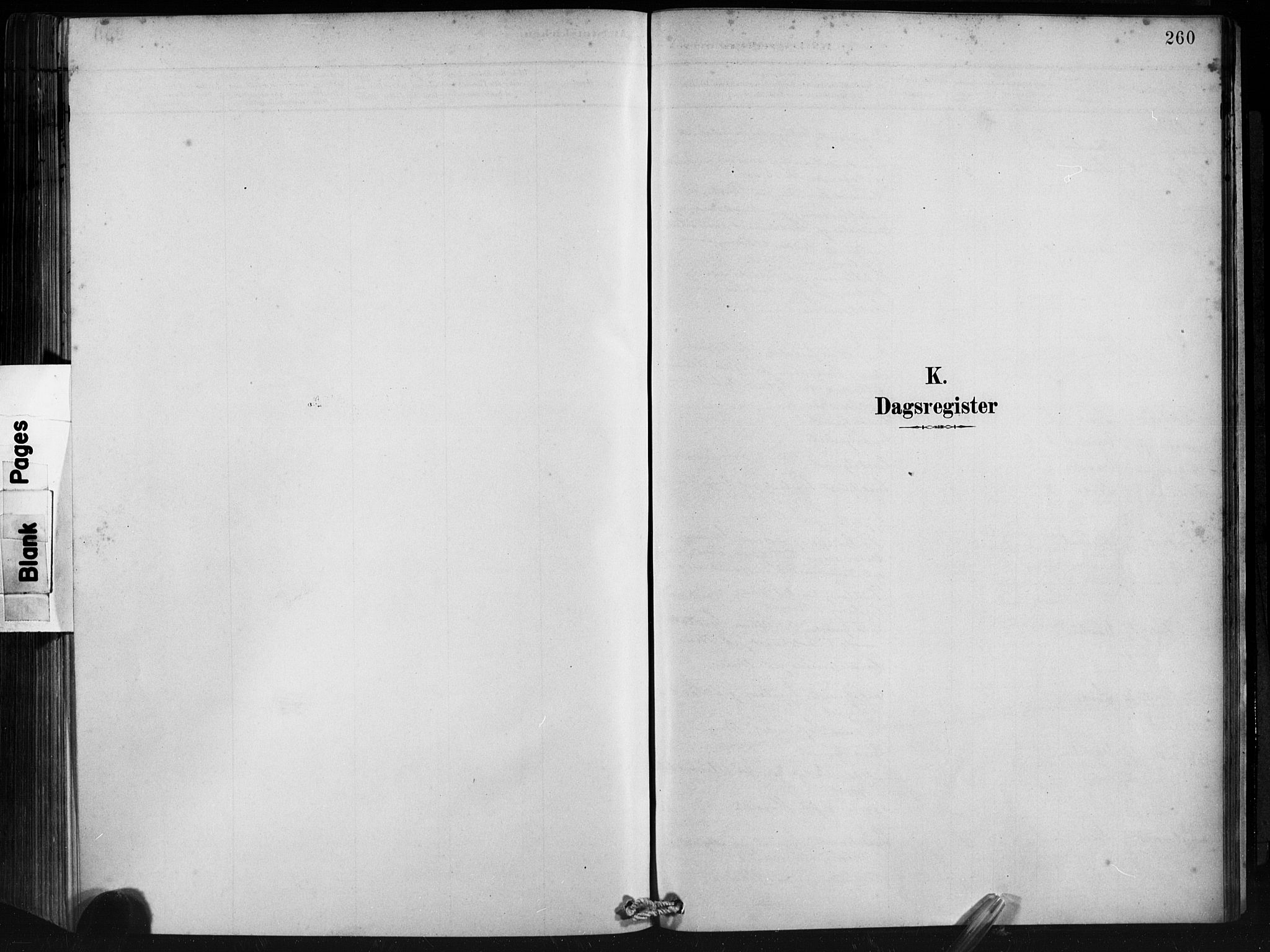 Ministerialprotokoller, klokkerbøker og fødselsregistre - Møre og Romsdal, SAT/A-1454/501/L0008: Parish register (official) no. 501A08, 1885-1901, p. 260