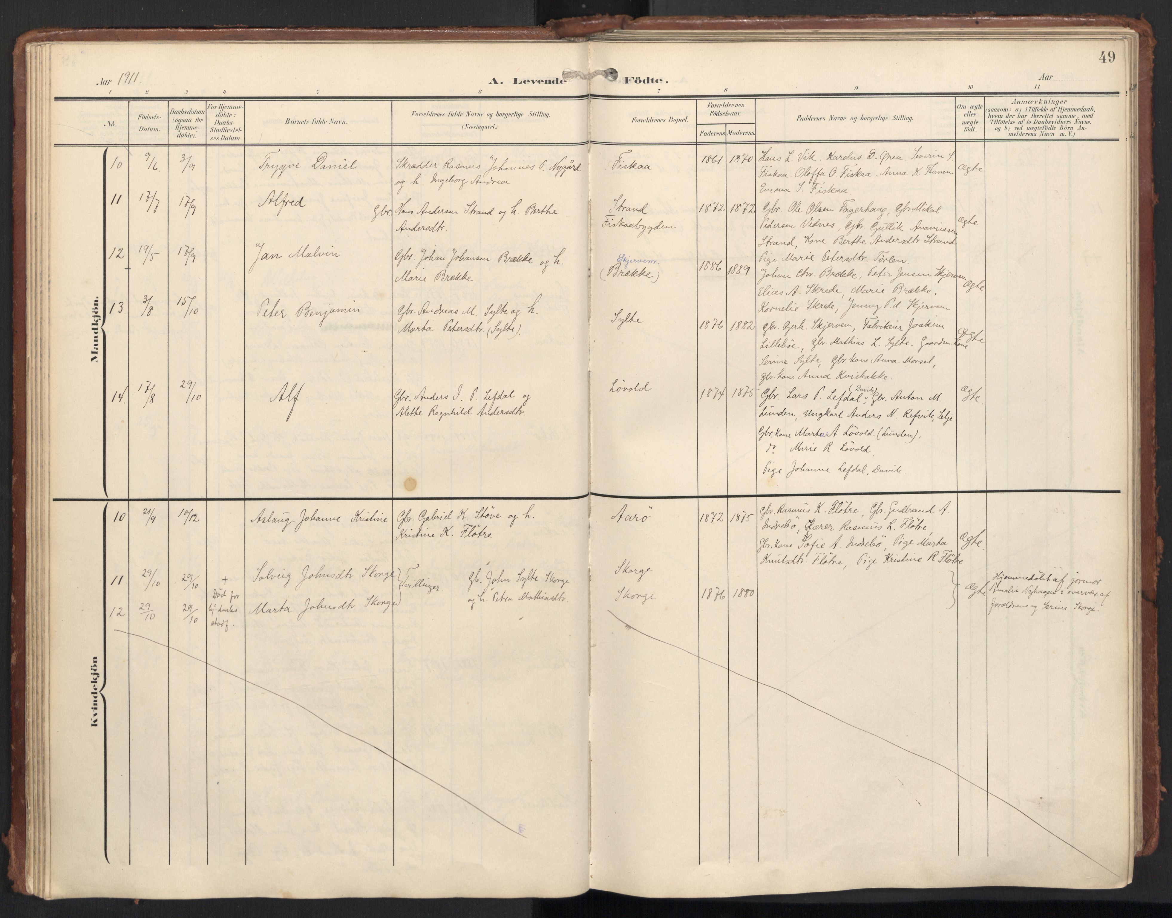 Ministerialprotokoller, klokkerbøker og fødselsregistre - Møre og Romsdal, AV/SAT-A-1454/501/L0011: Parish register (official) no. 501A11, 1902-1919, p. 49