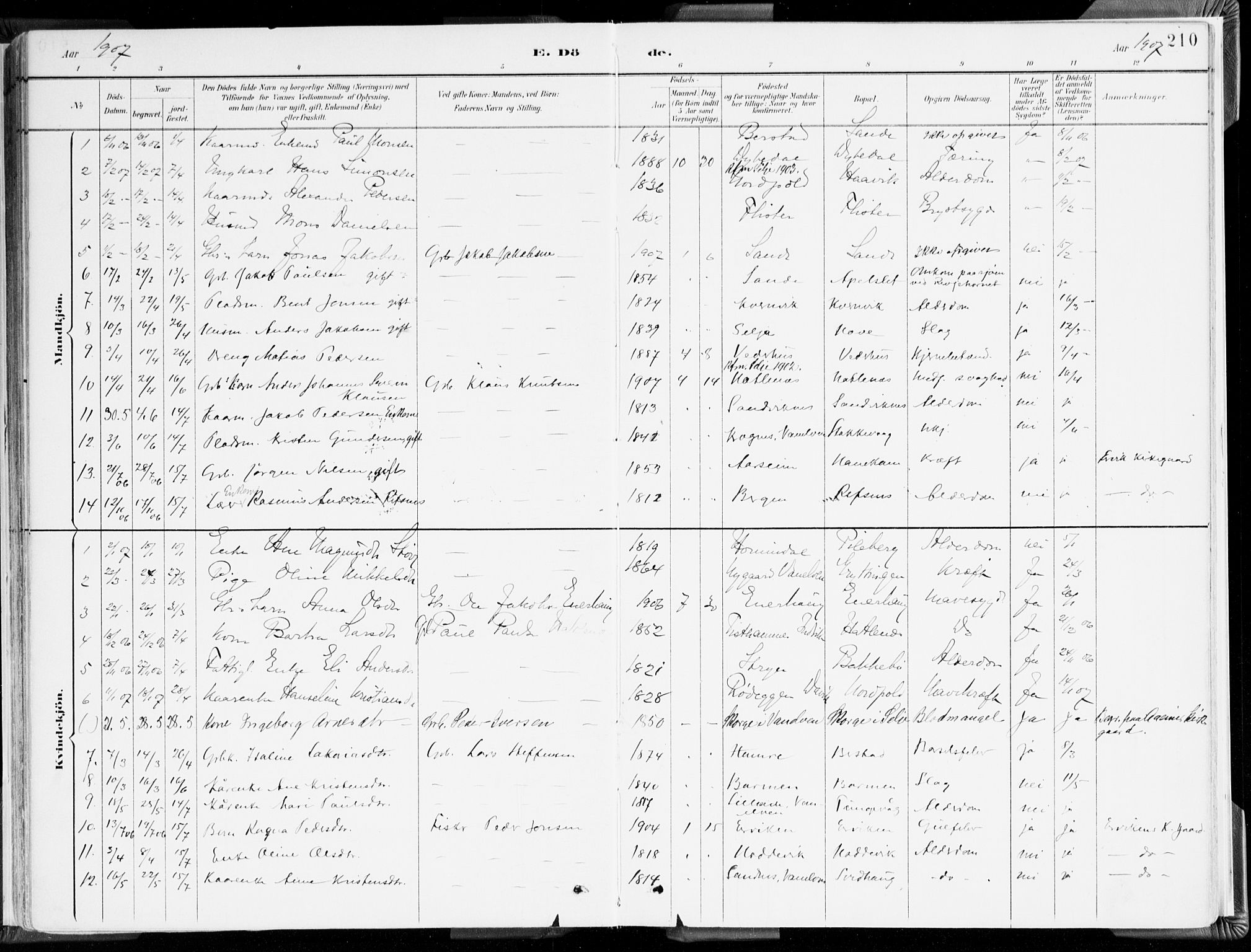 Selje sokneprestembete, SAB/A-99938/H/Ha/Haa/Haab: Parish register (official) no. B 2, 1891-1907, p. 210