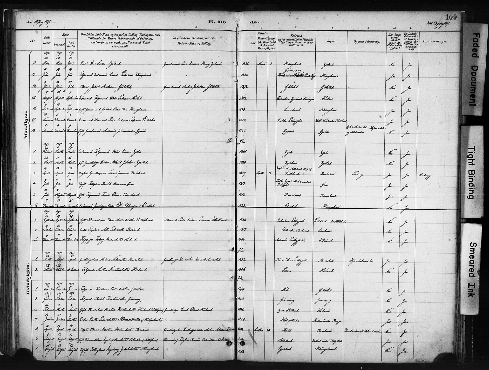 Helleland sokneprestkontor, AV/SAST-A-101810: Parish register (official) no. A 8, 1887-1907, p. 109