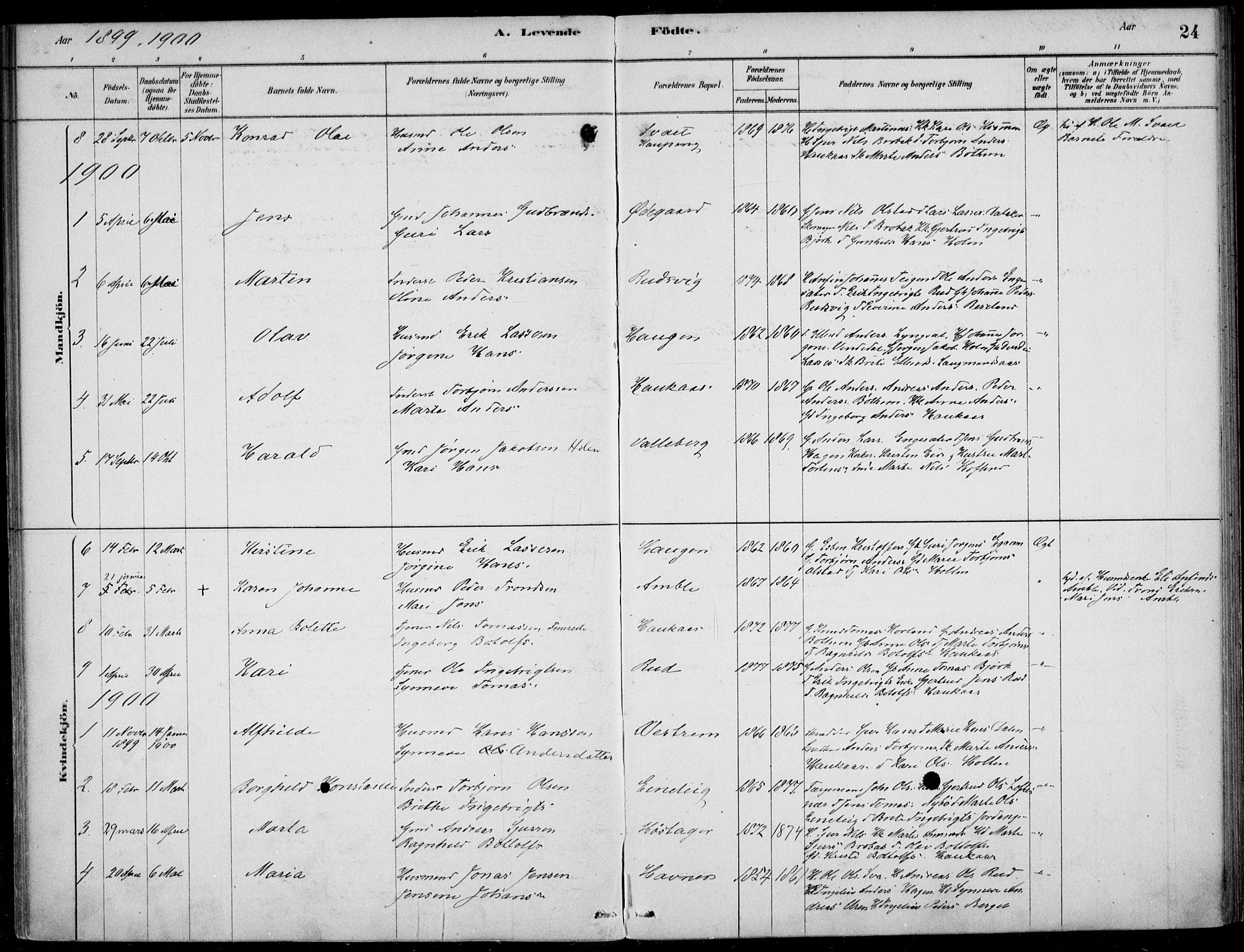 Sogndal sokneprestembete, AV/SAB-A-81301/H/Haa/Haad/L0001: Parish register (official) no. D  1, 1878-1907, p. 24