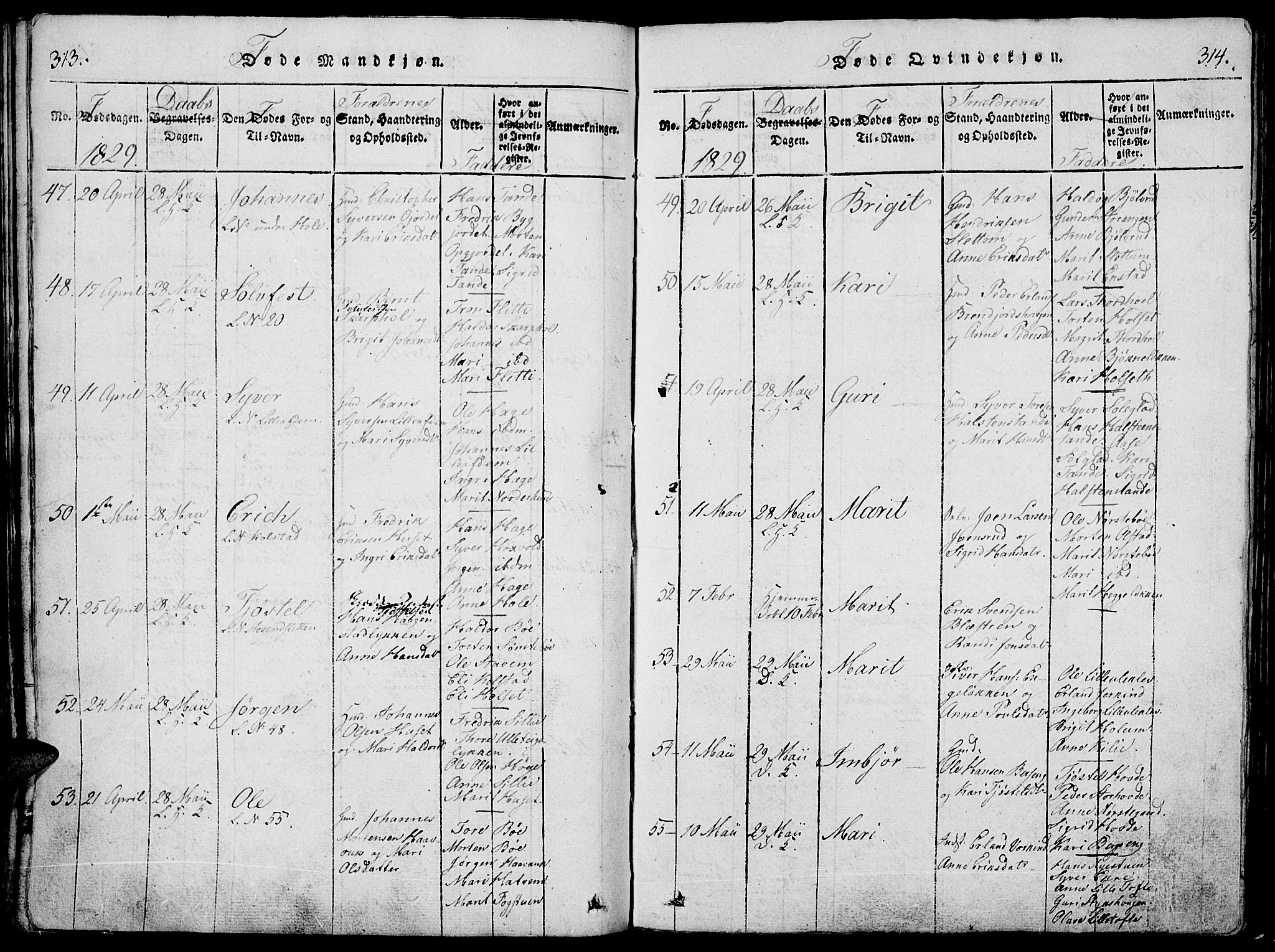 Lesja prestekontor, SAH/PREST-068/H/Ha/Haa/L0004: Parish register (official) no. 4, 1820-1829, p. 313-314