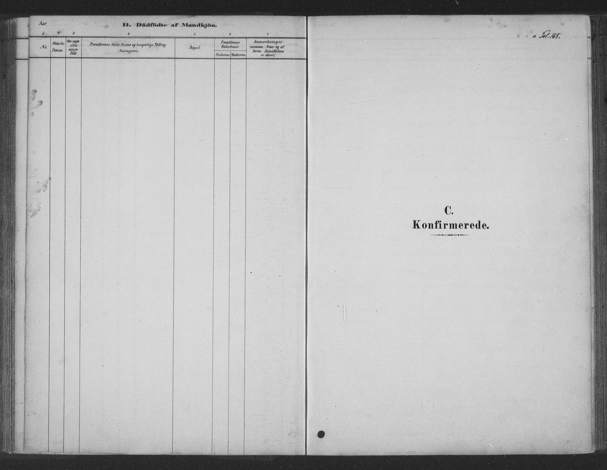 Ministerialprotokoller, klokkerbøker og fødselsregistre - Nordland, SAT/A-1459/891/L1302: Parish register (official) no. 891A07, 1878-1895, p. 165