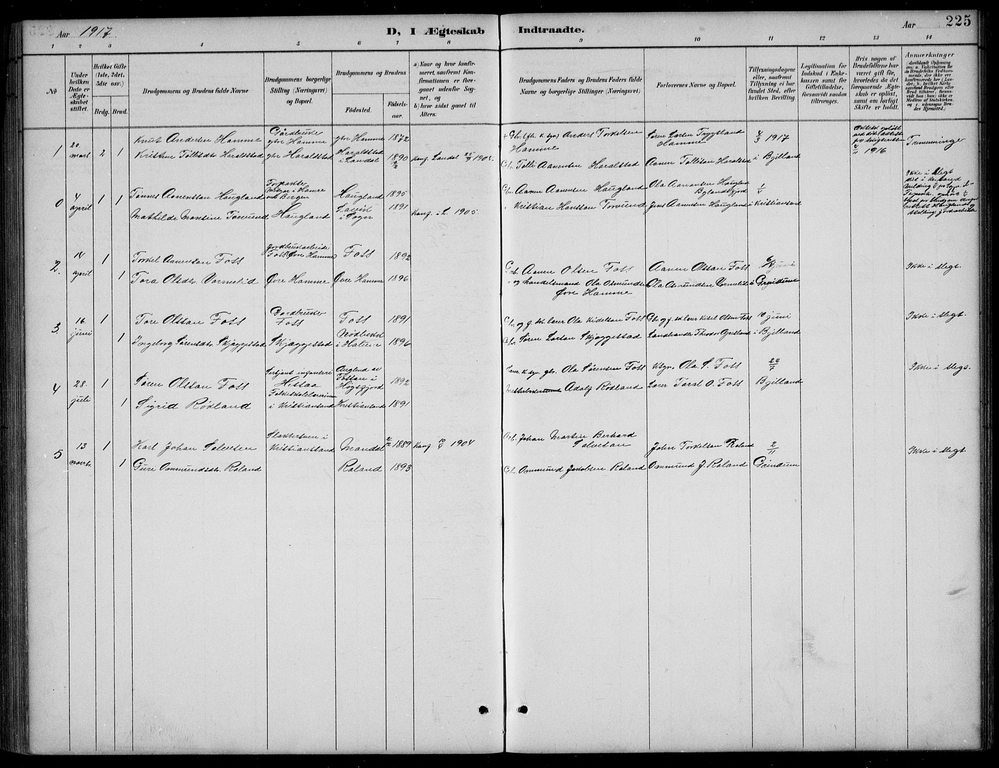 Bjelland sokneprestkontor, SAK/1111-0005/F/Fb/Fba/L0005: Parish register (copy) no. B 5, 1887-1923, p. 225