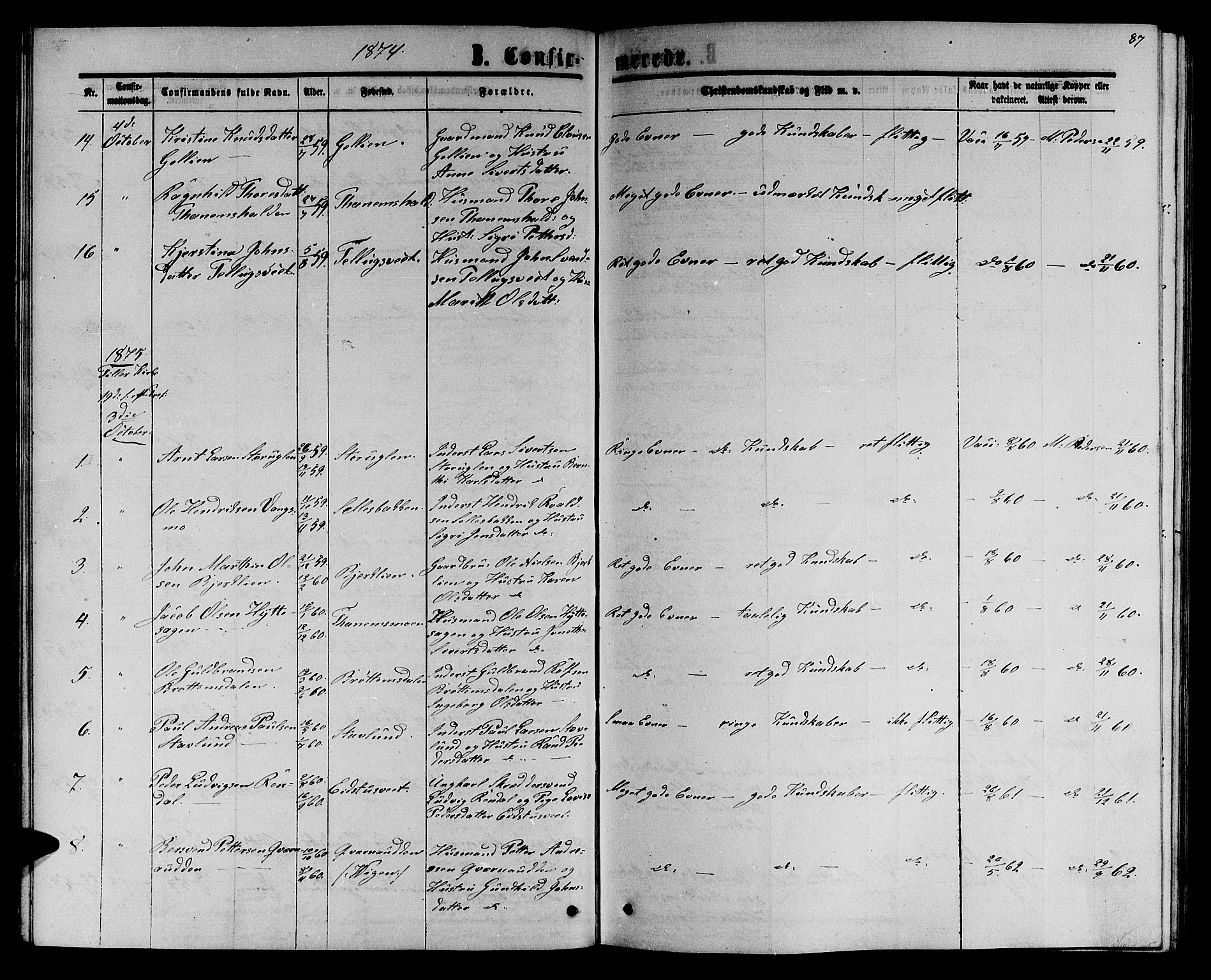 Ministerialprotokoller, klokkerbøker og fødselsregistre - Sør-Trøndelag, SAT/A-1456/618/L0451: Parish register (copy) no. 618C02, 1865-1883, p. 87
