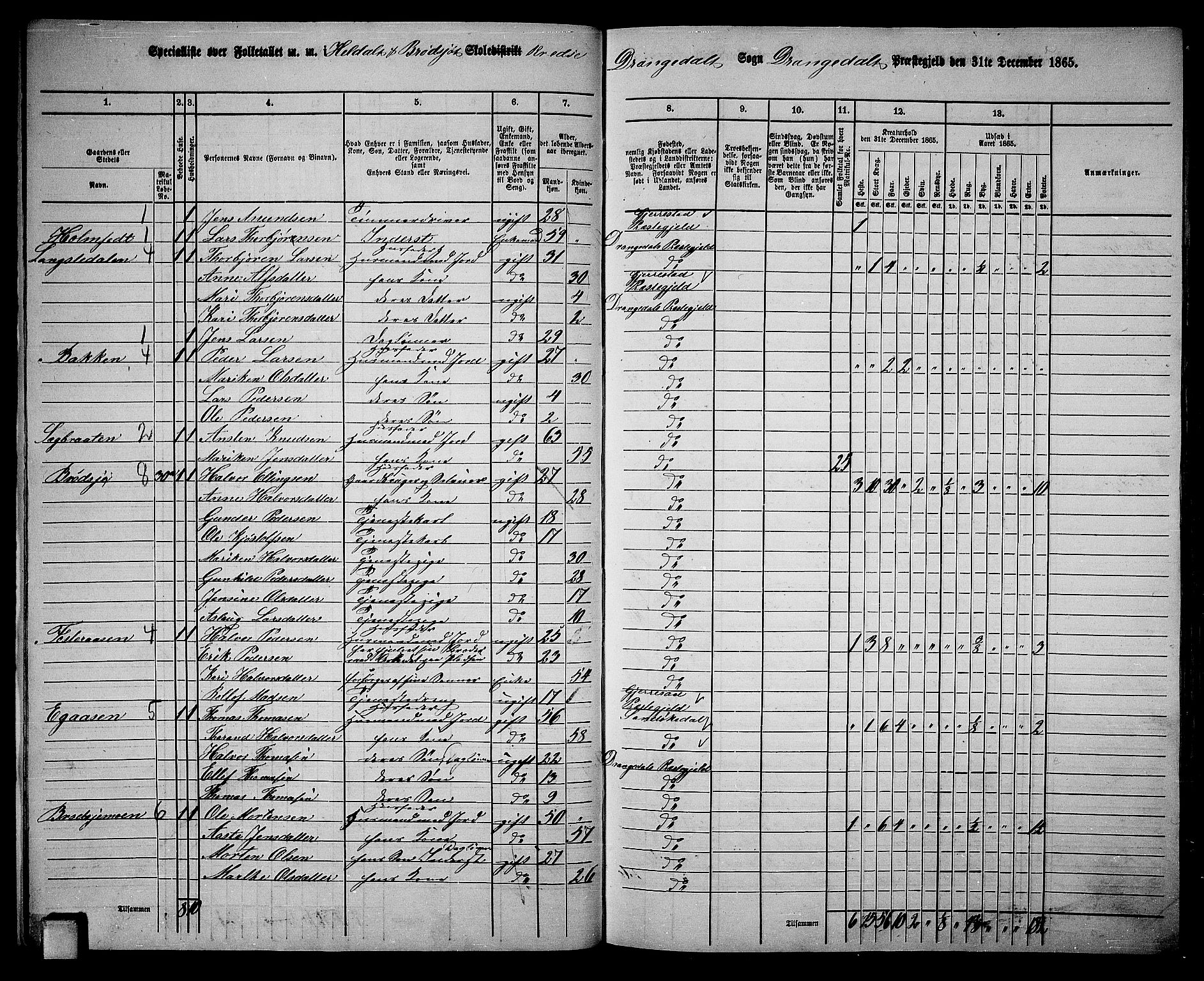 RA, 1865 census for Drangedal, 1865, p. 17