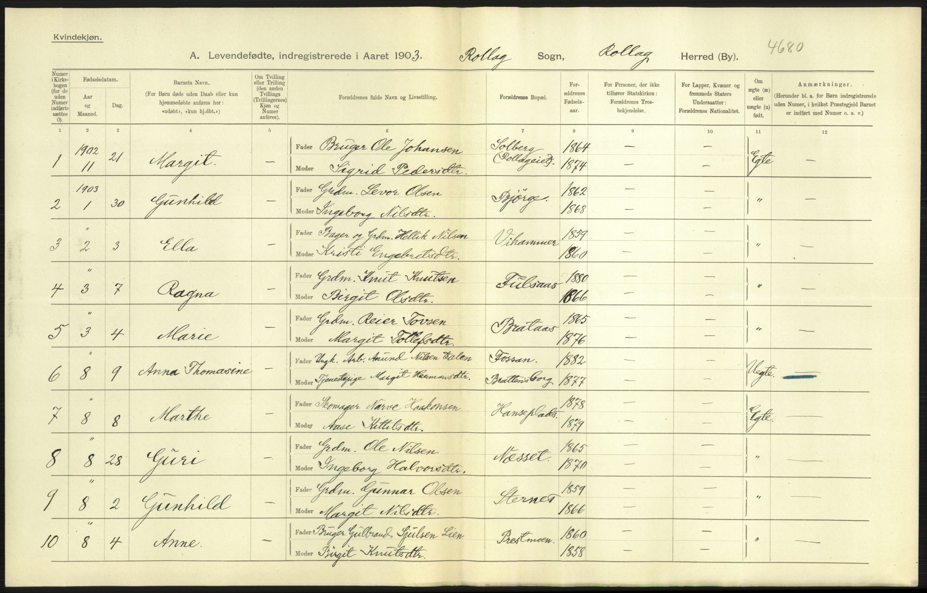 Statistisk sentralbyrå, Sosiodemografiske emner, Befolkning, AV/RA-S-2228/D/Df/Dfa/Dfaa/L0007: Buskeruds amt: Fødte, gifte, døde, 1903, p. 19