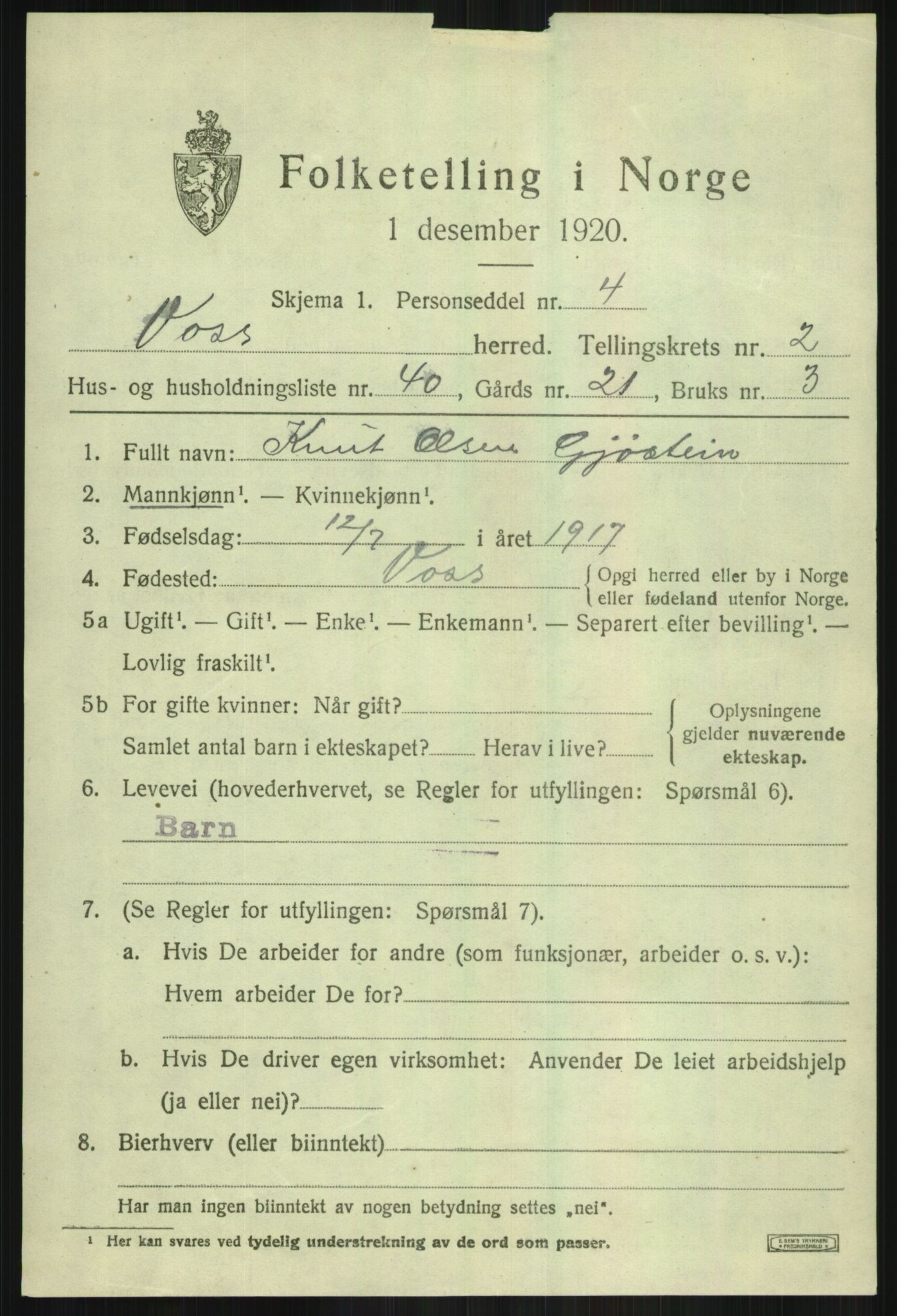 SAB, 1920 census for Voss, 1920, p. 3965