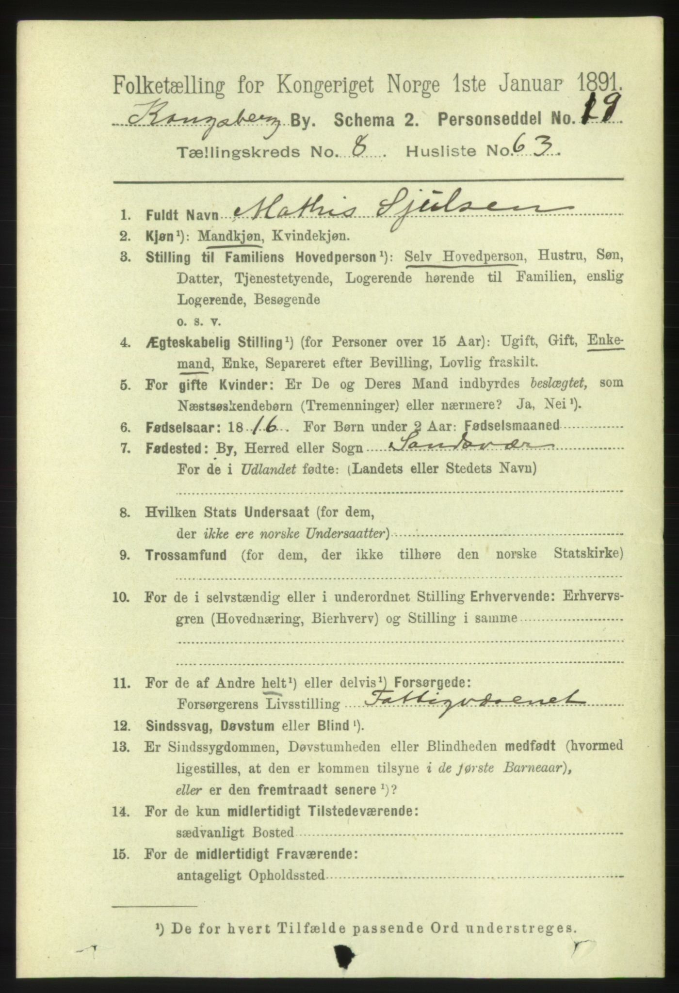 RA, 1891 census for 0604 Kongsberg, 1891, p. 6043