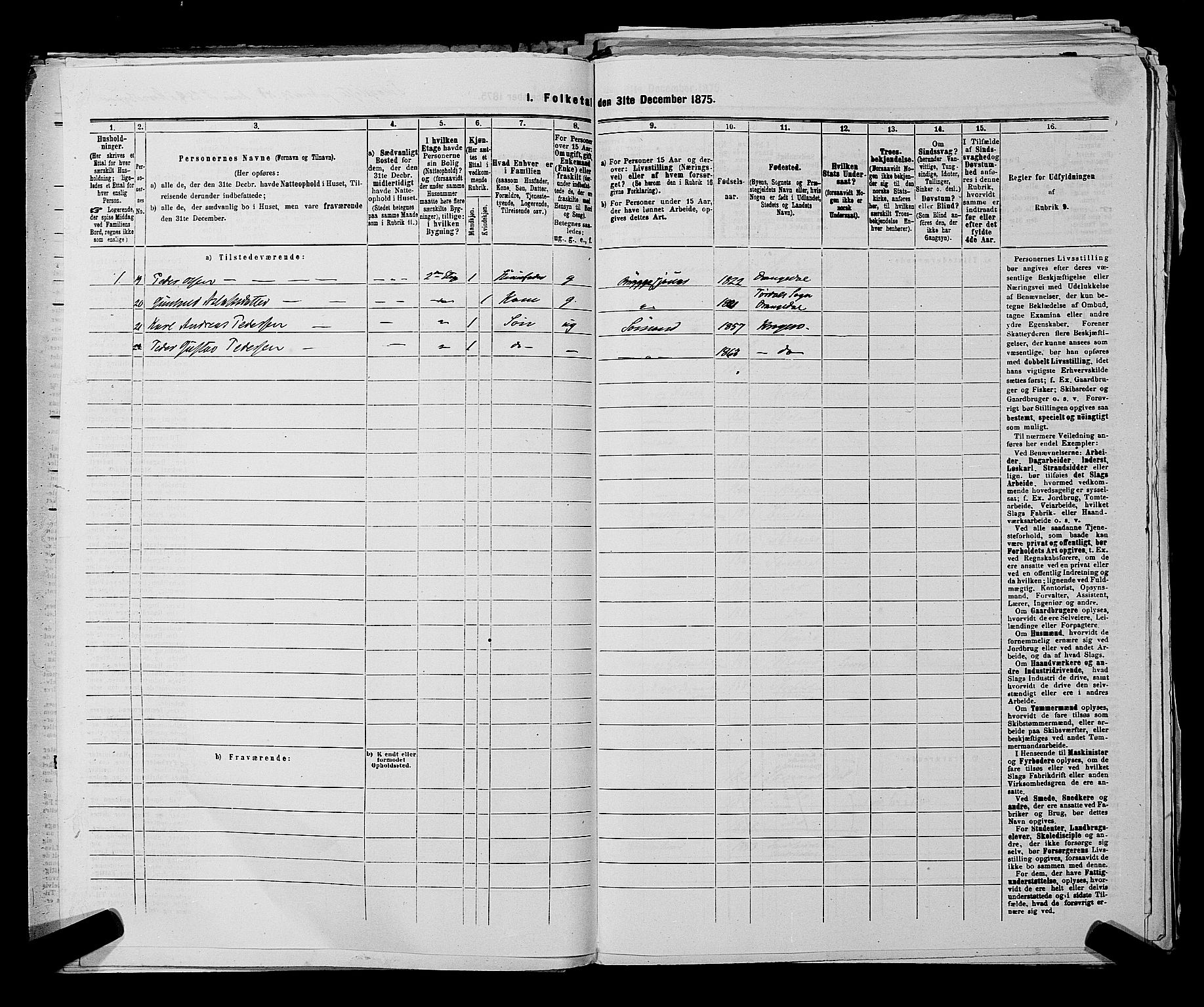 SAKO, 1875 census for 0801P Kragerø, 1875, p. 481